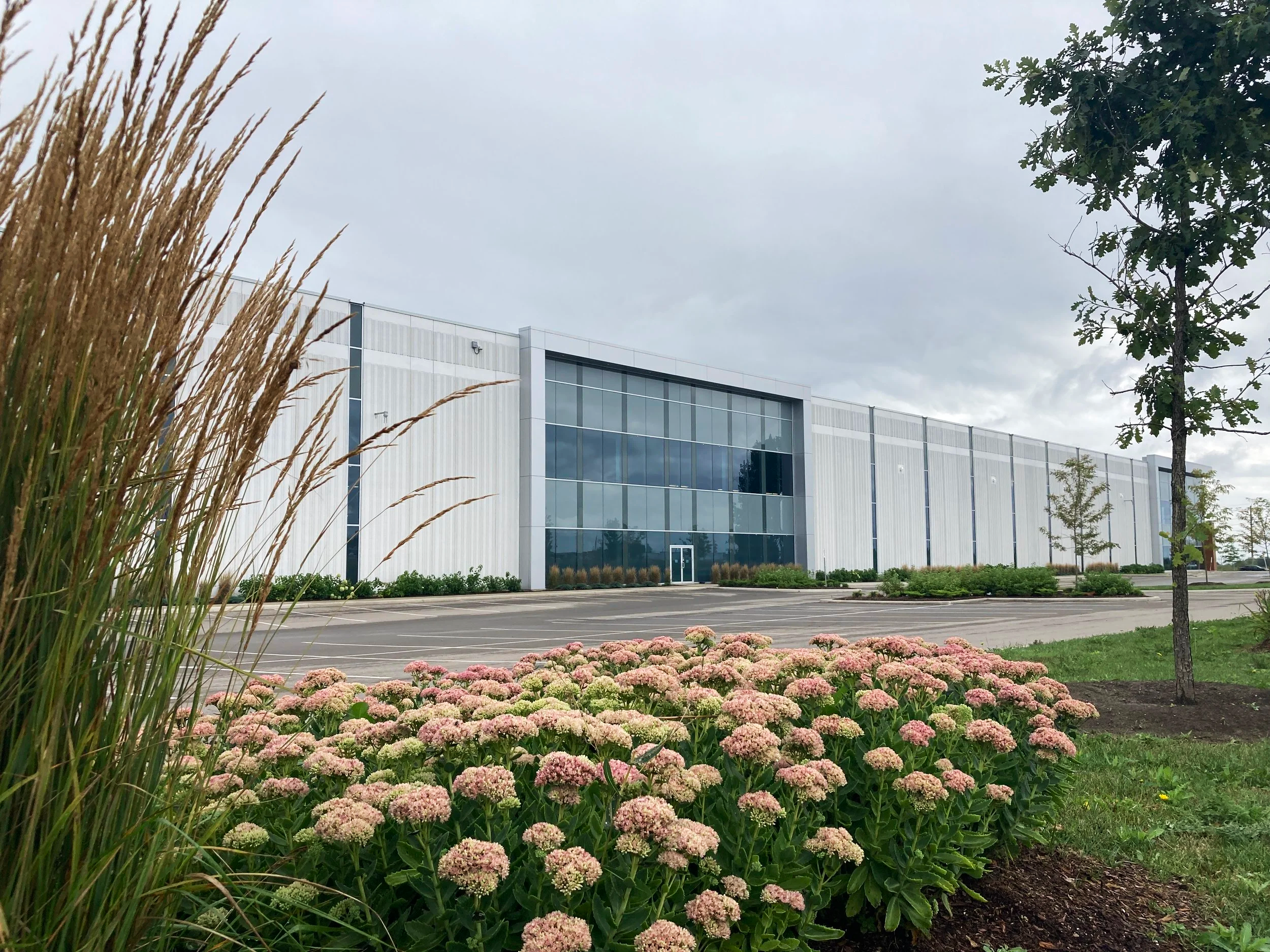 Modern white building with large glass windows, parking lot in front, pink and white flowering plants, and trees on a cloudy day.
