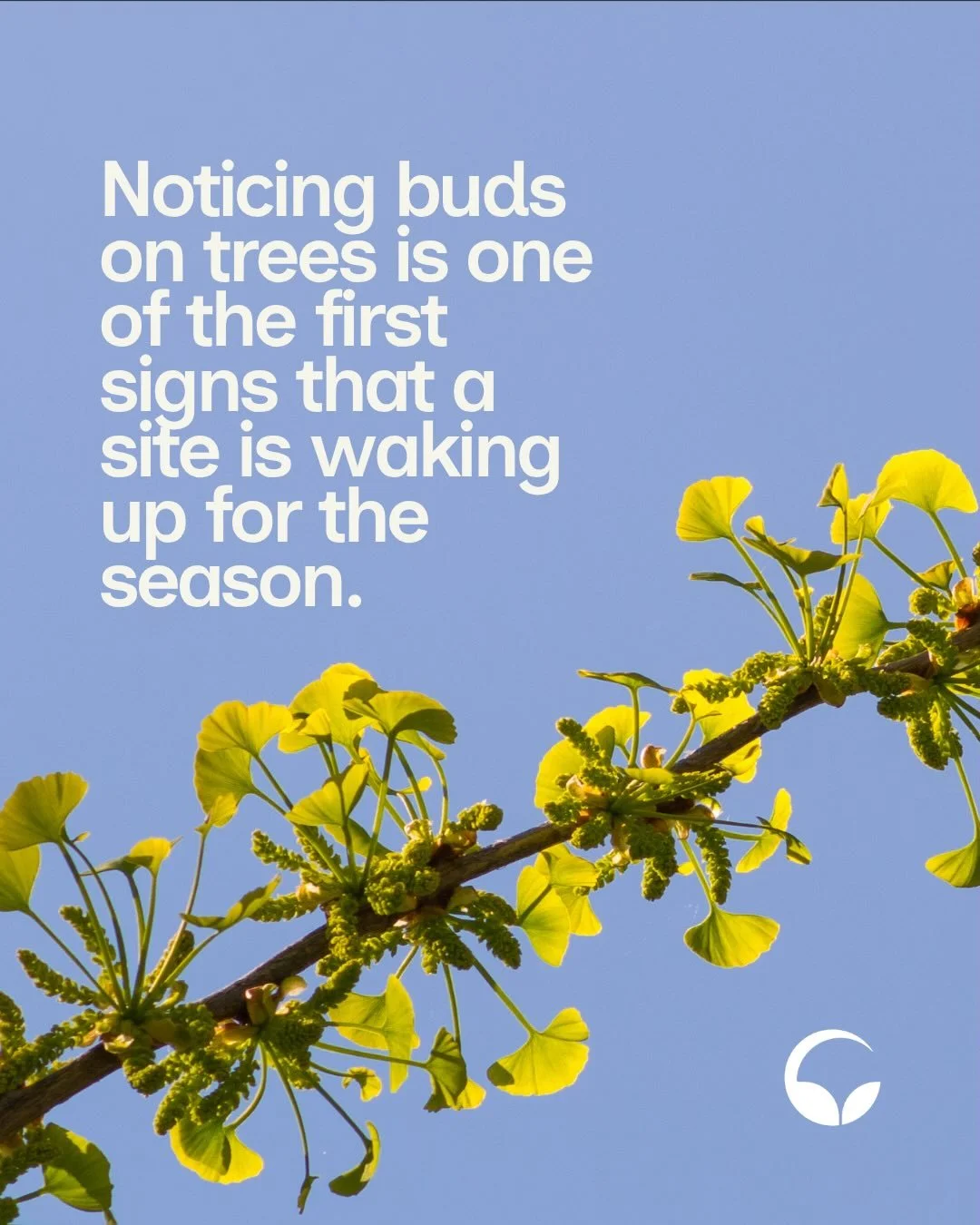 Designing for seasonal change means thinking beyond a single moment. From spring growth to fall colour and winter structure, we shape landscapes that respond to time, adapt naturally, and make space for both people and nature. 

Spring growth, summer