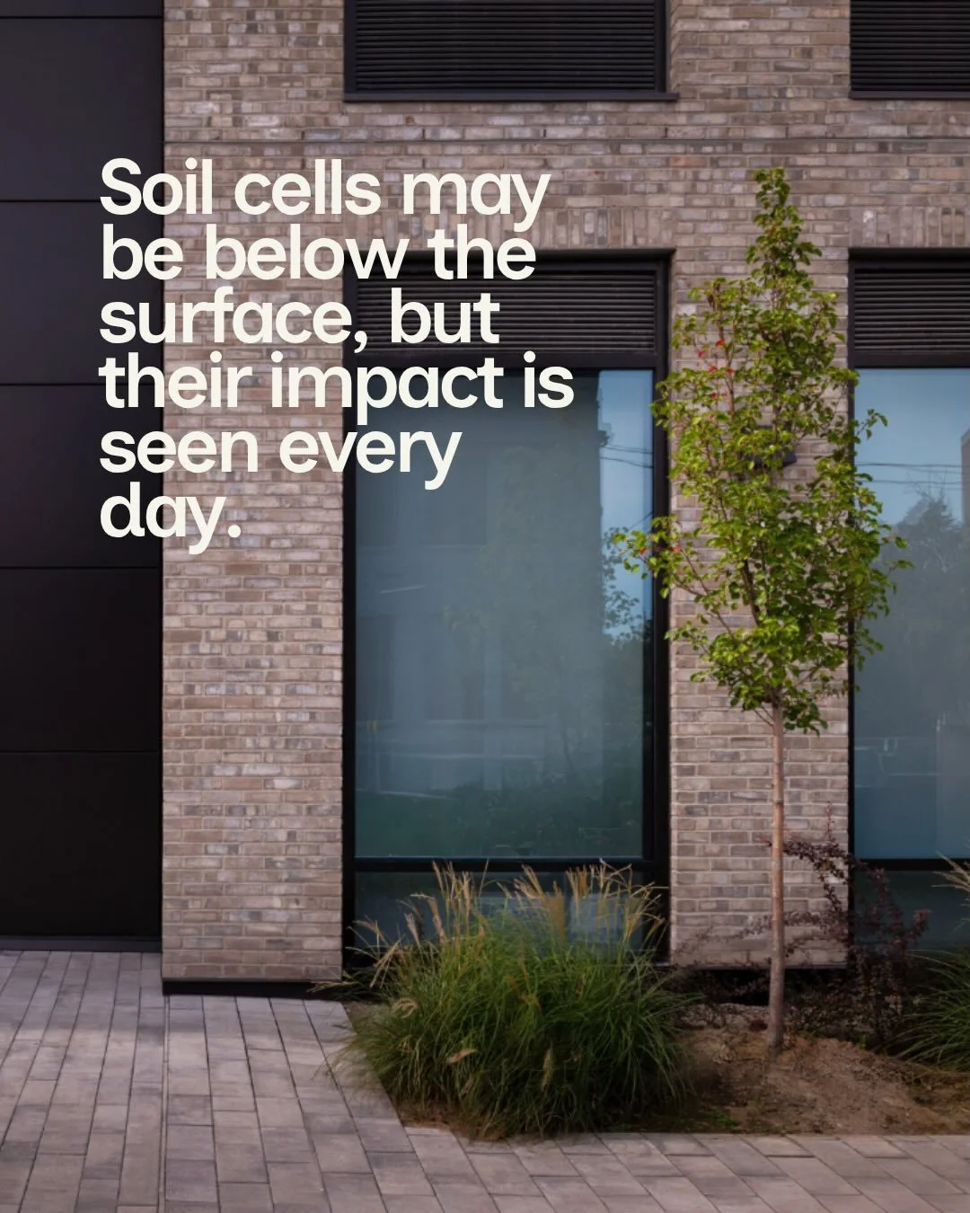 Soil cells may be below the surface, but their impact is seen every day.

They create the space and structure needed for trees to establish strong root systems in urban environments where soil is limited and compaction is a challenge. 

Soil cells ca