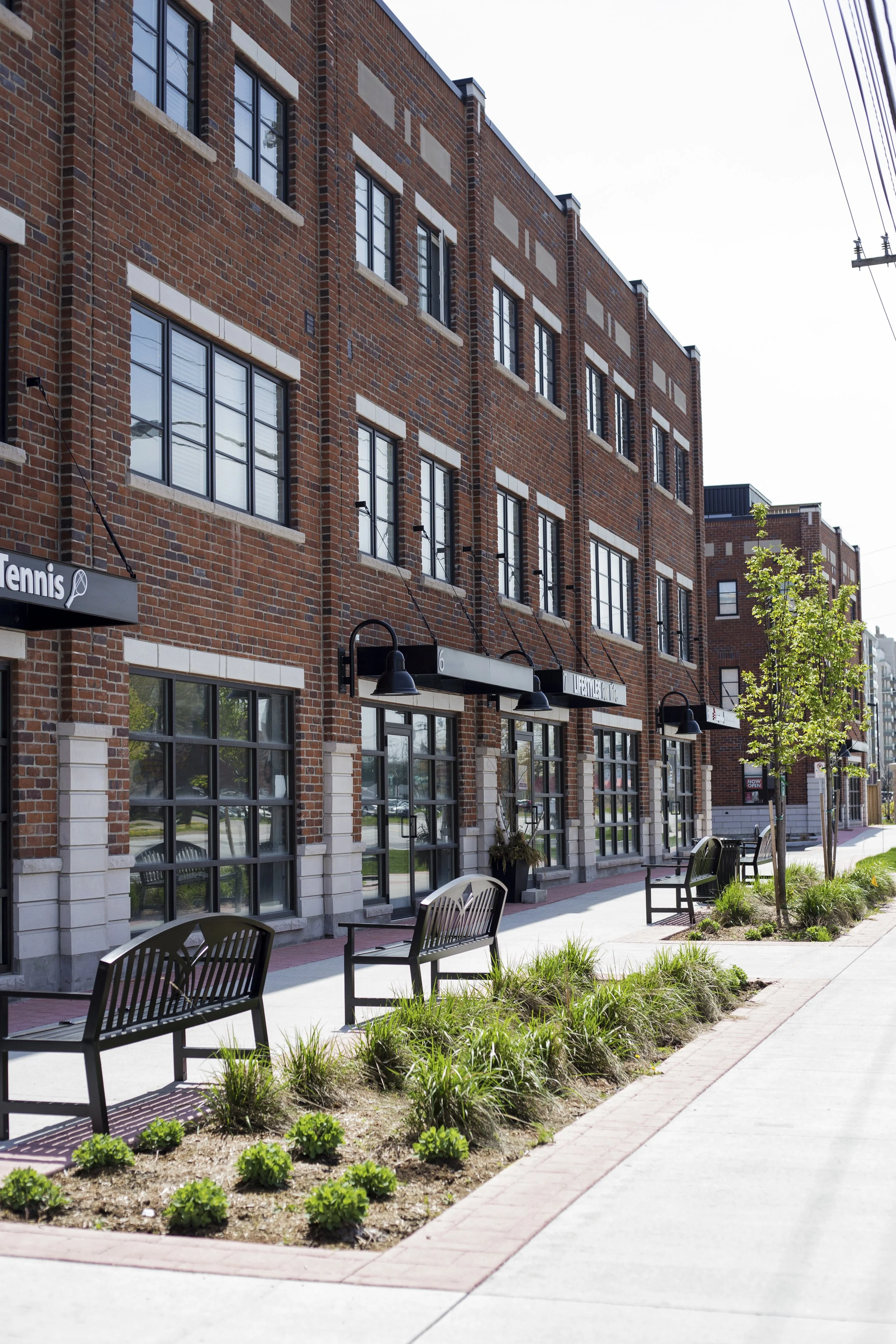 Downtown sidewalk with benches, small trees, and newly planted bushes in front of a brick apartment building with large windows and black lamps