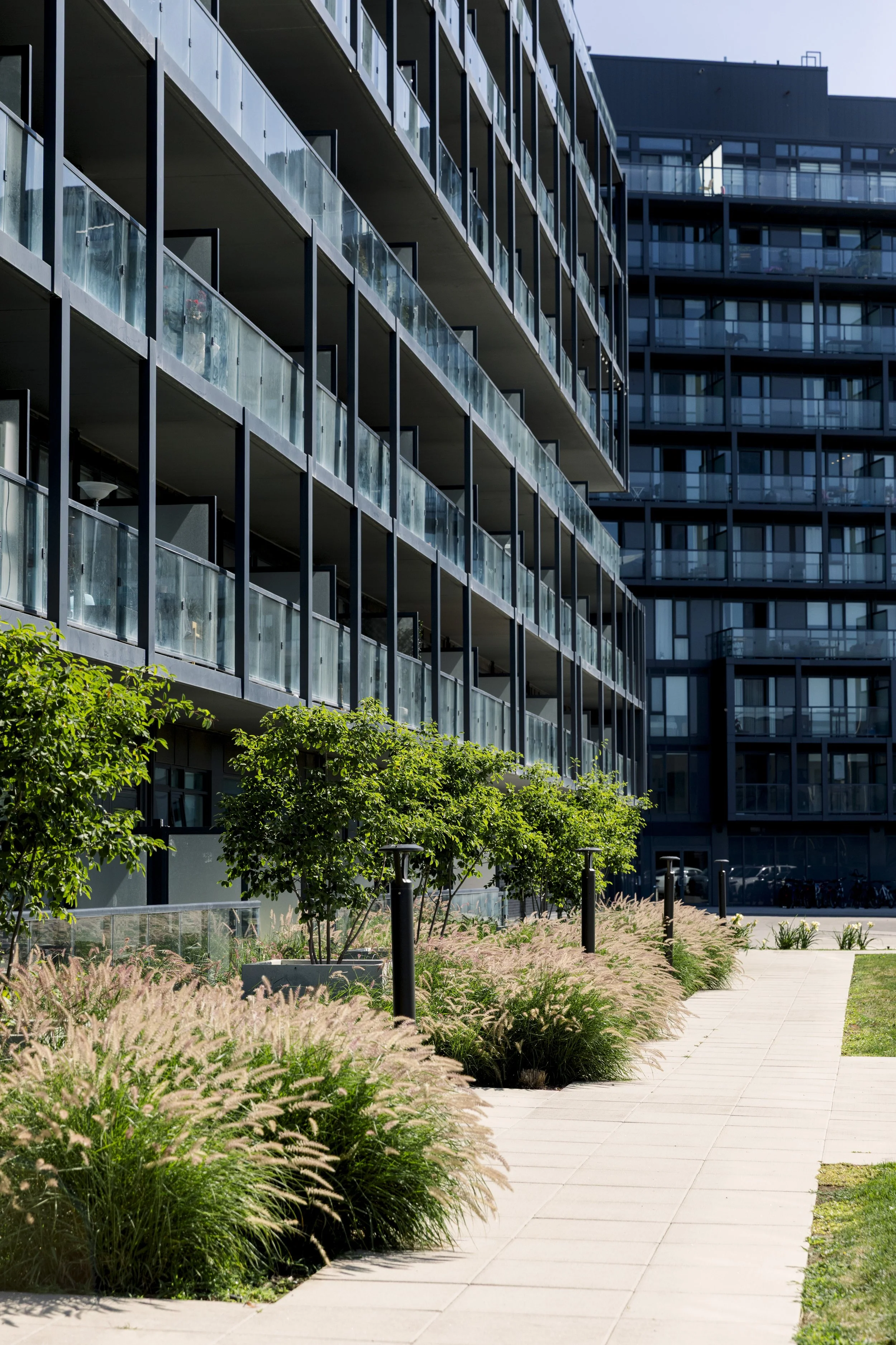 Modern apartment building with glass balconies and a landscaped walkway with green bushes and pink decorative grass.