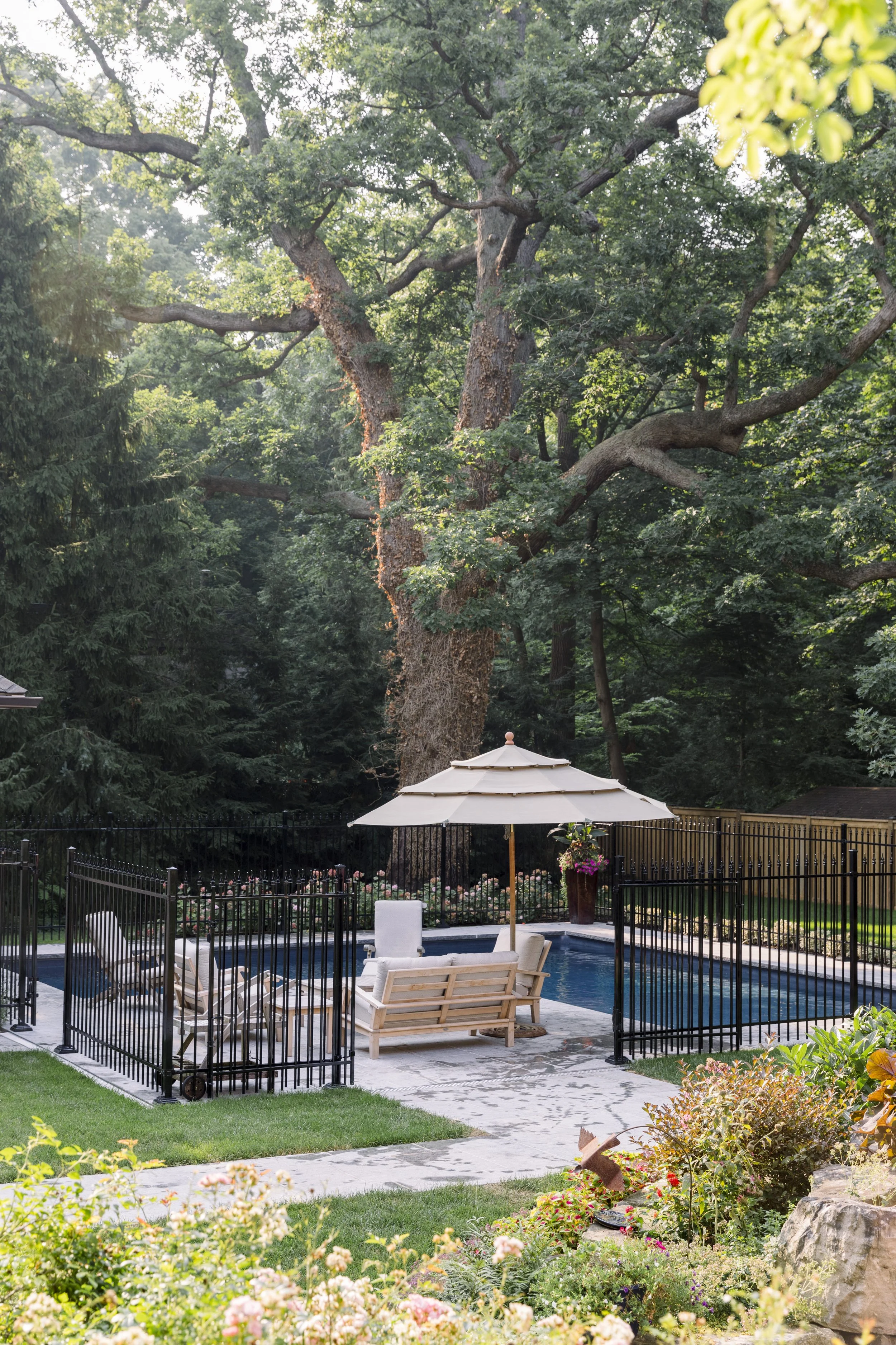 Backyard with a swimming pool surrounded by a black metal fence, lounge chairs, and an umbrella, with a large tree and lush greenery in the background.