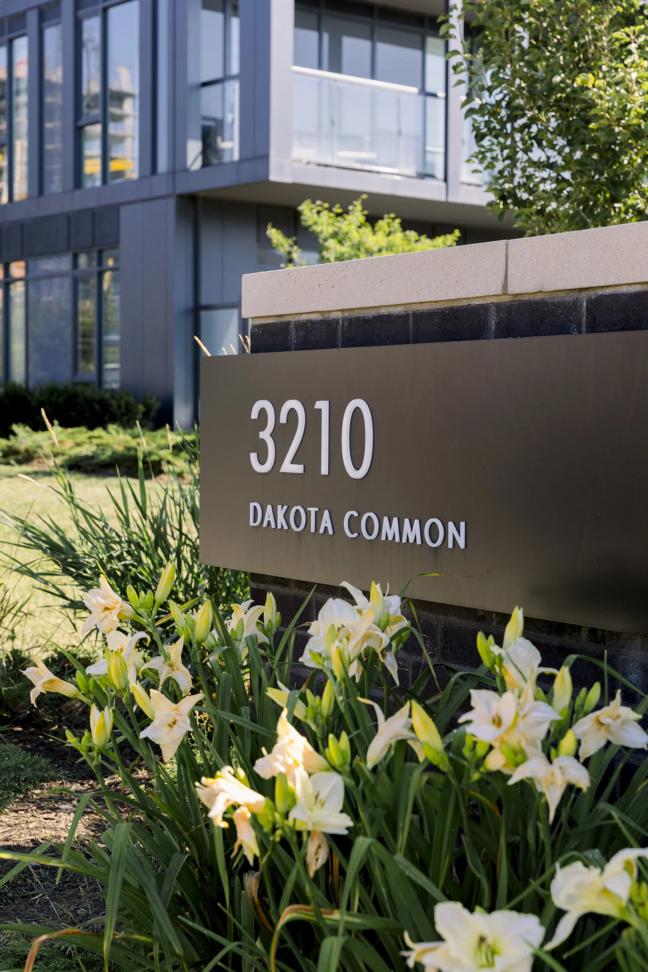 A street number sign displaying 3210 and the address name Dakota Common, situated in front of a modern glass building, with yellow and white flowers and green plants at the base.