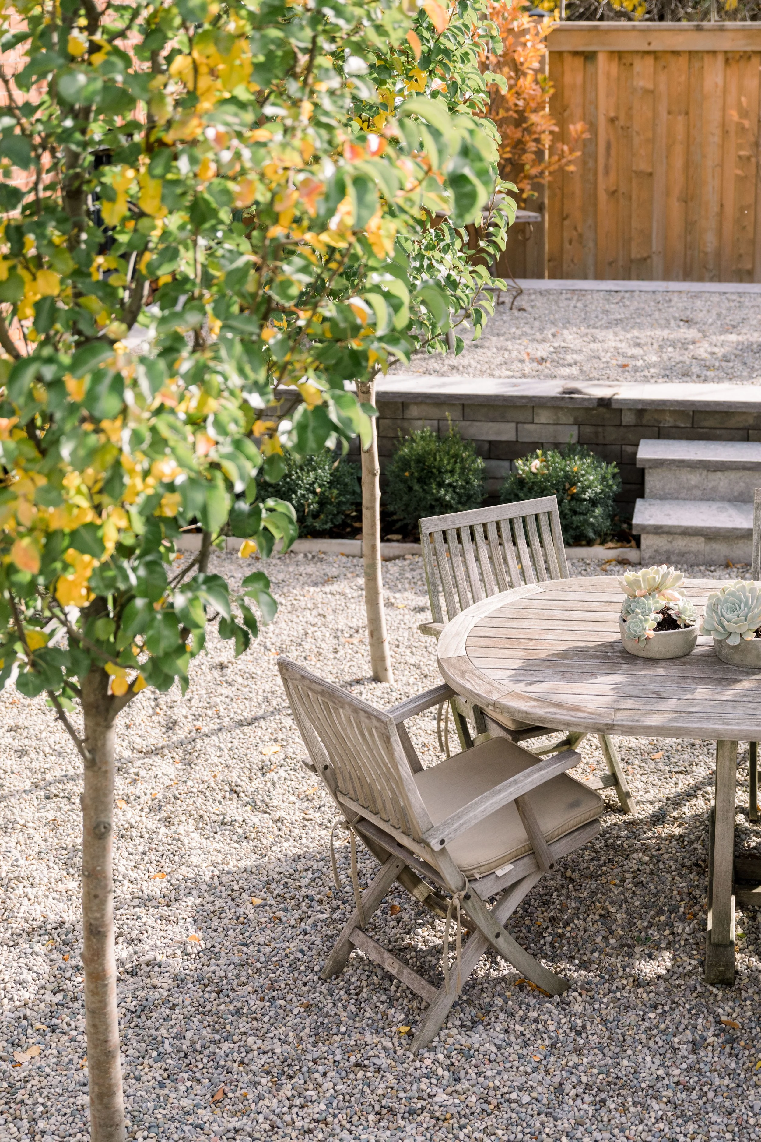 A backyard patio with a round wooden table, three wooden chairs with beige cushions, potted succulents on the table, a small tree with yellow and green leaves, gravel ground, stone steps, bushes, and a wooden fence in the background.