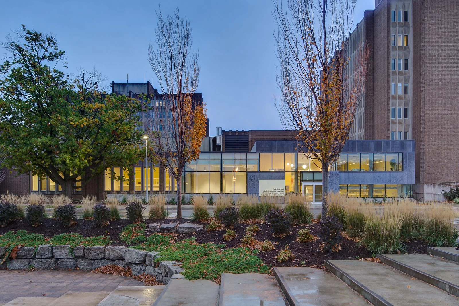 Exterior view of a modern building with large glass windows, trees with autumn leaves, and landscaped plants in front during early evening or dusk.