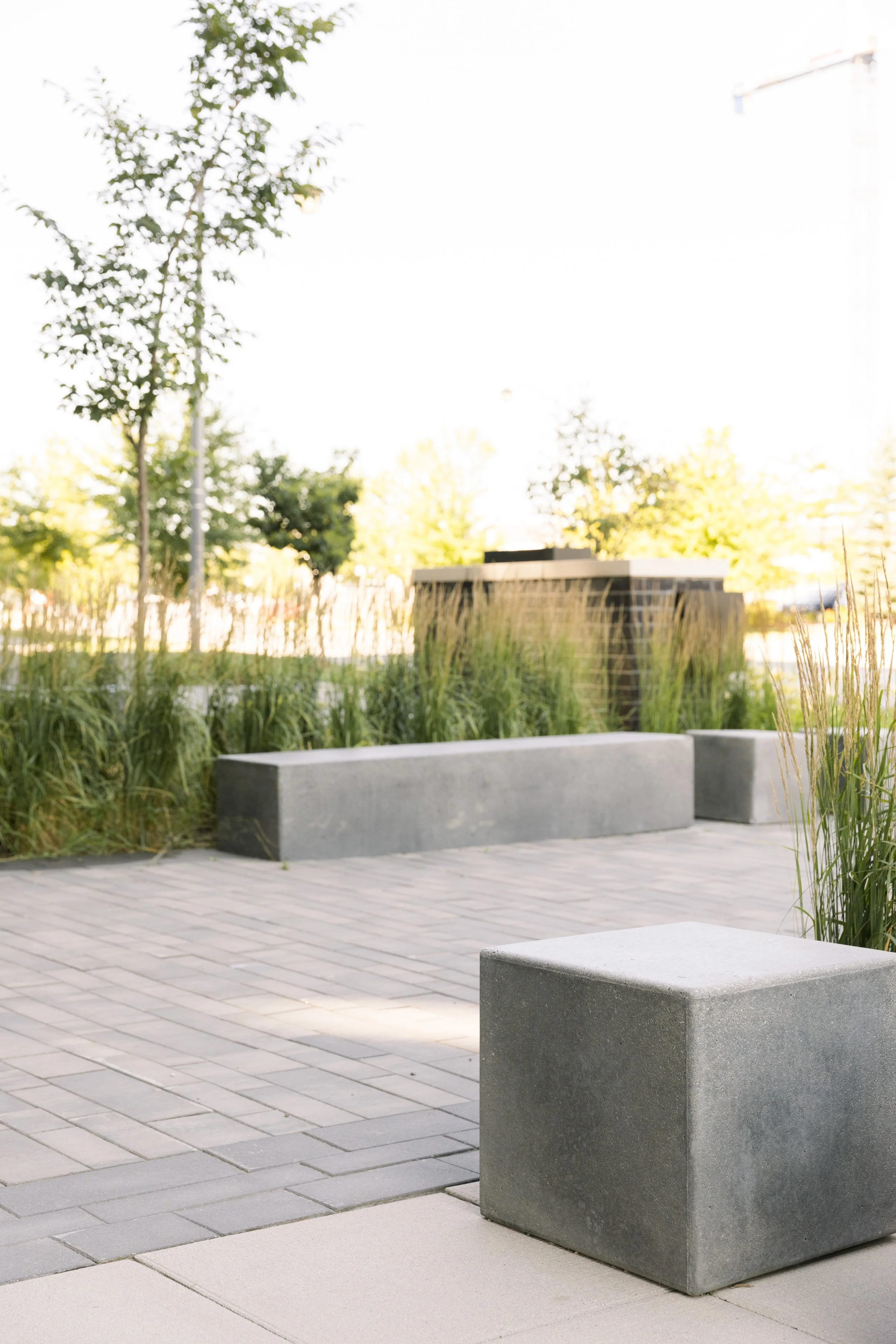 An outdoor urban scene with a paved walkway, concrete seating blocks, greenery, and trees in the background.