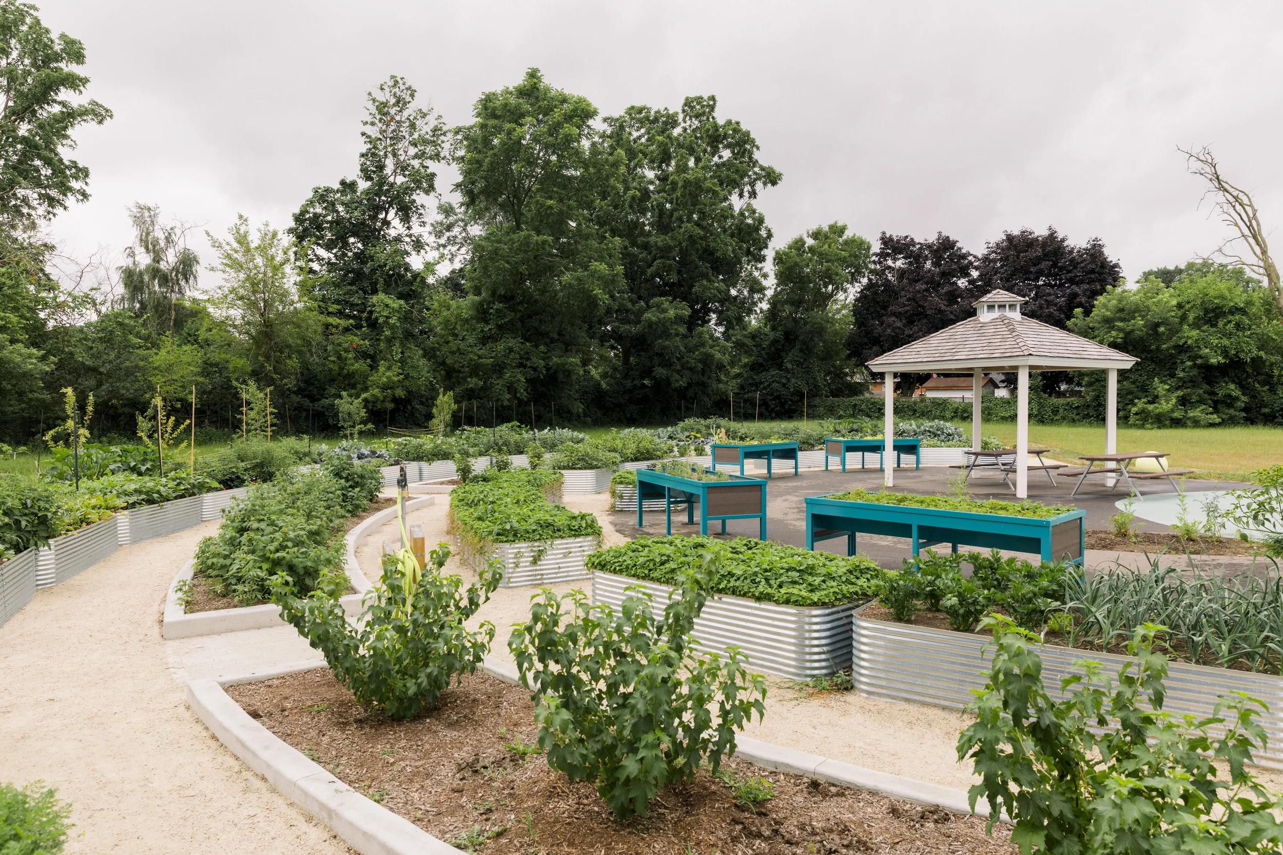 Community garden with raised beds, pathways, and a gazebo with picnic tables, surrounded by green trees.