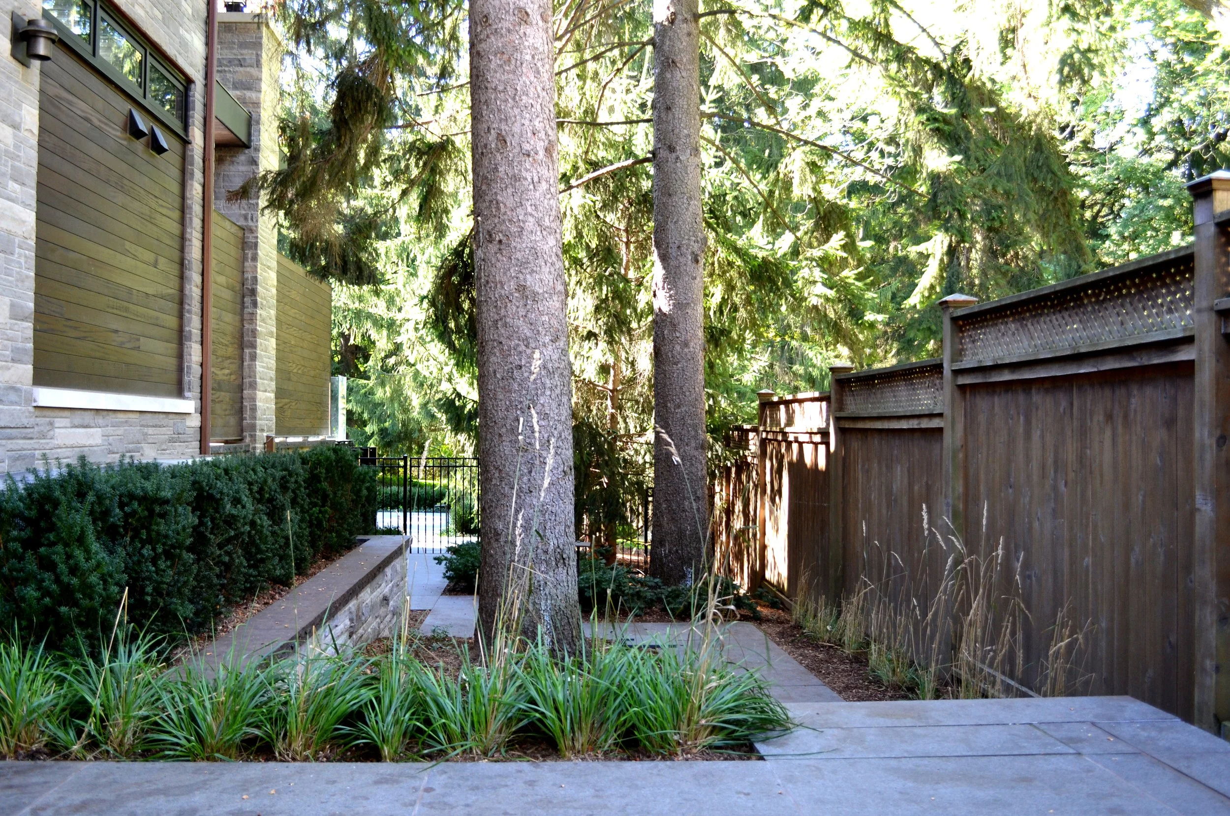 A pathway in a backyard with tall trees, a wooden fence on the right, and a house with stone walls and window shutters on the left. There are green bushes and plants along the pathway.
