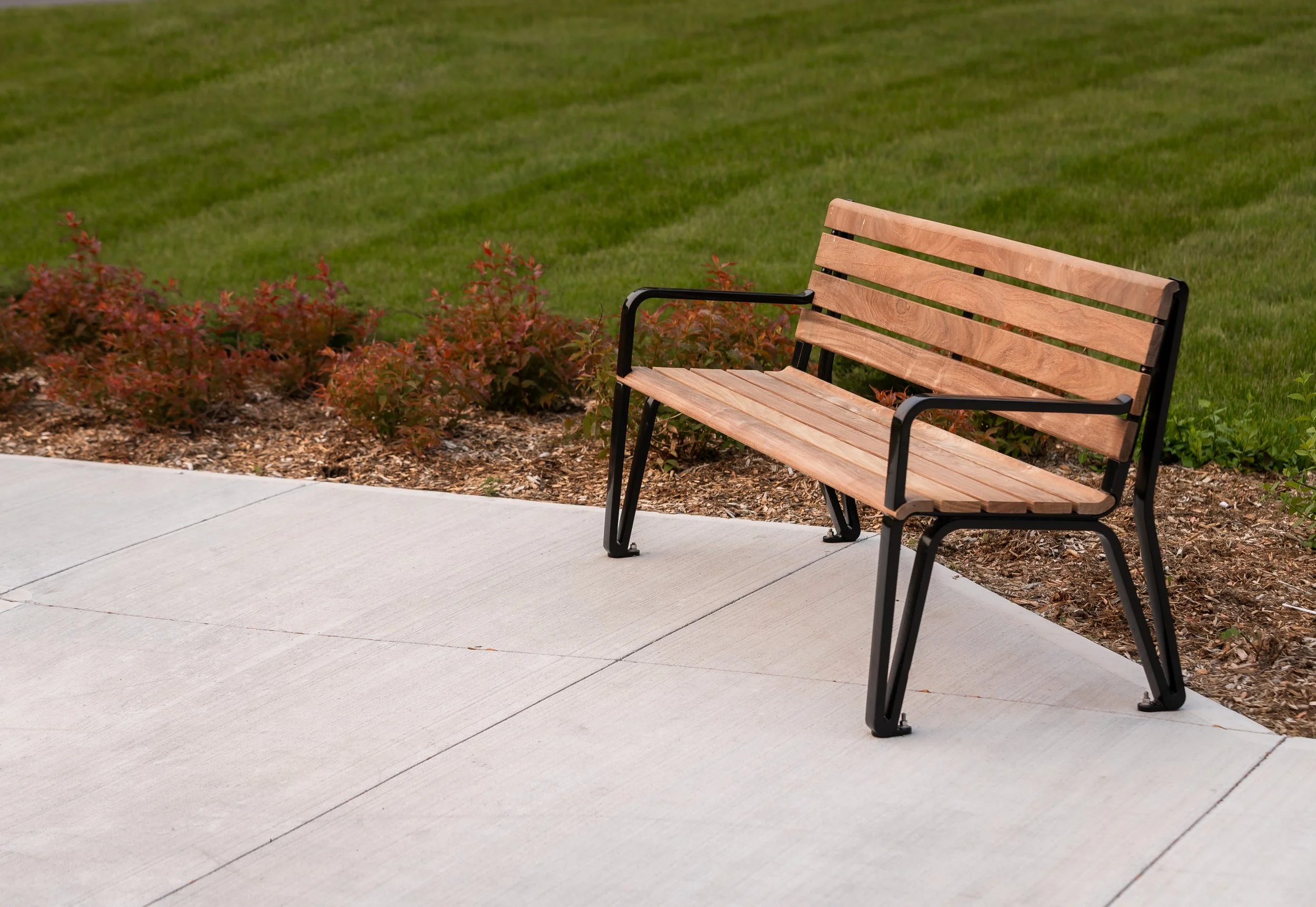 Empty wooden park bench with black metal frame on sidewalk next to landscaped area with plants, grass, and mulch.