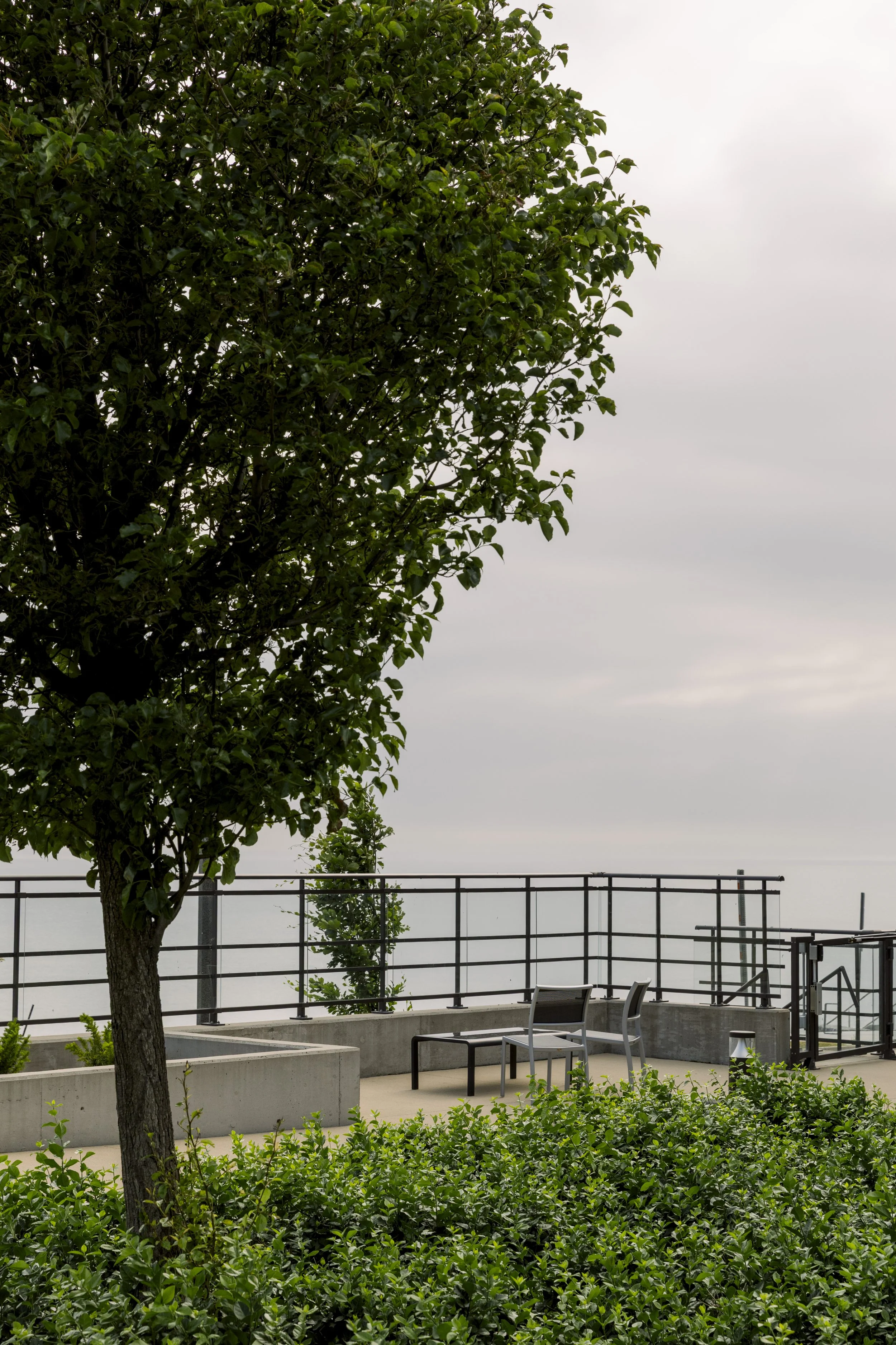 An outdoor rooftop area with green shrubs, a tree, a metal bench, and chairs, surrounded by a metal railing, with a cloudy sky in the background.