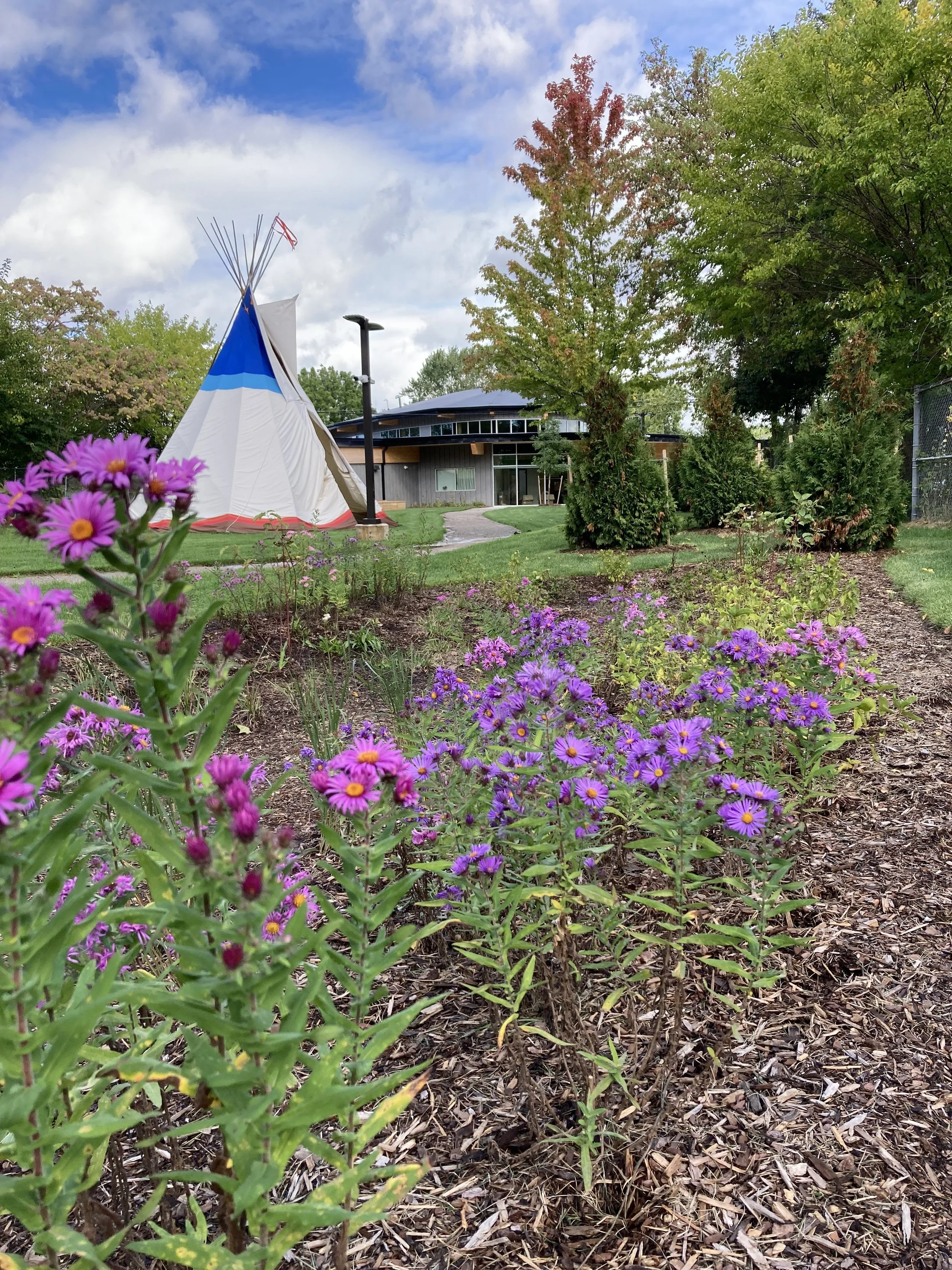 A landscaped garden with purple and pink flowers, a tipi tent, a modern building, and trees under a partly cloudy sky.