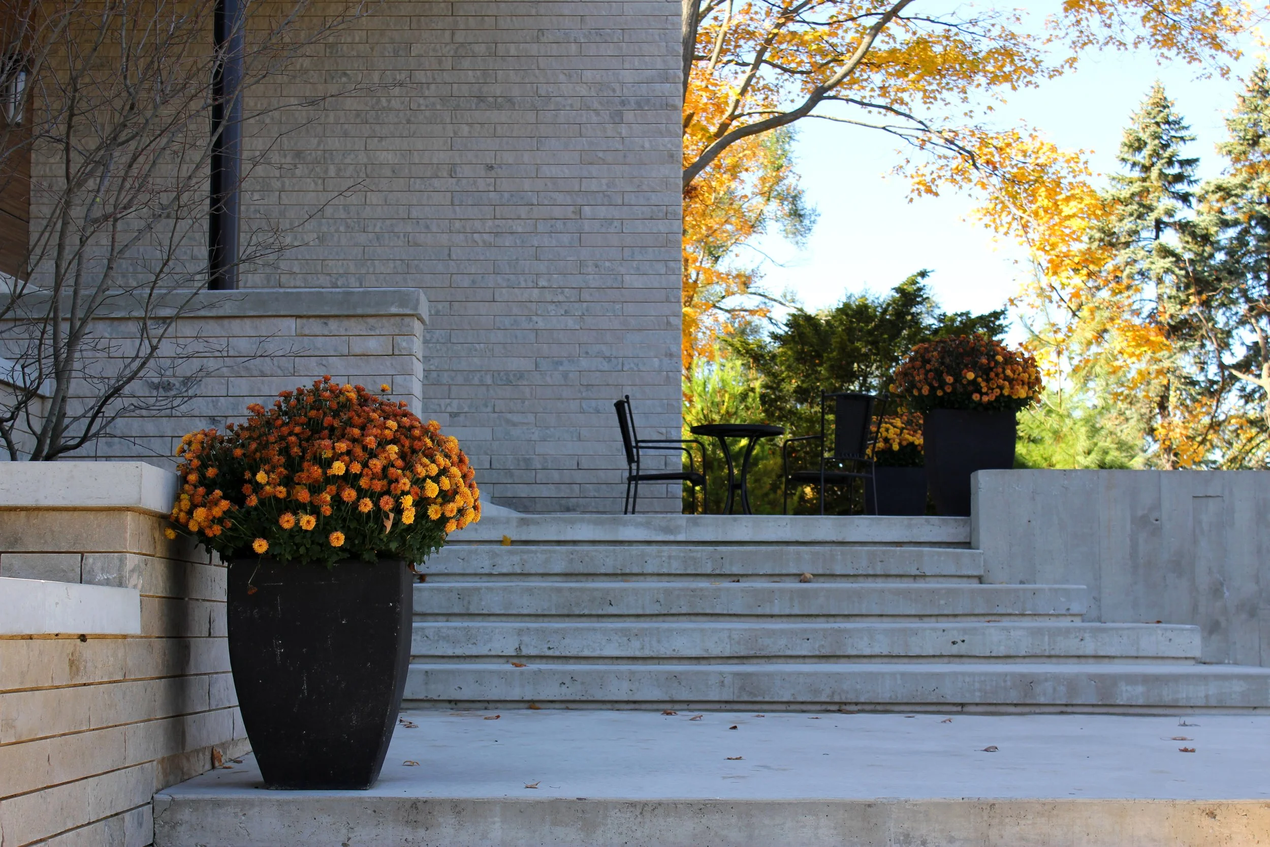 Concrete stairs leading up to a patio with two black planters filled with orange and yellow flowers, a small black table with two chairs, surrounded by trees with autumn foliage.