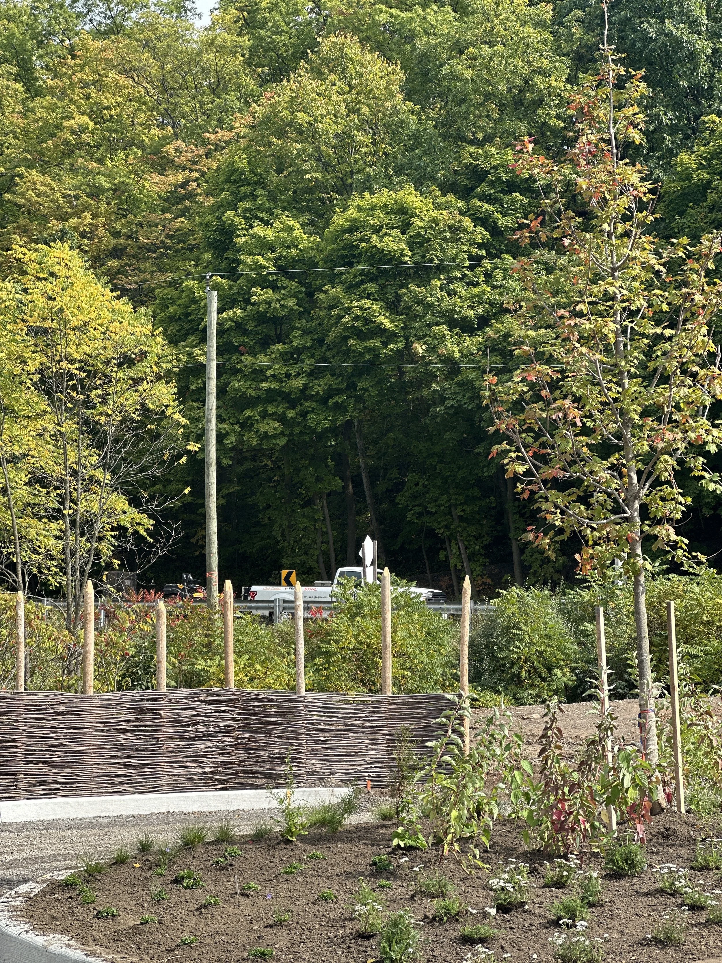 A garden with newly planted small plants and shrubs, a decorative wooden fence, surrounded by trees with green leaves, and a pickup truck driving on a road in the background under a partly cloudy sky.