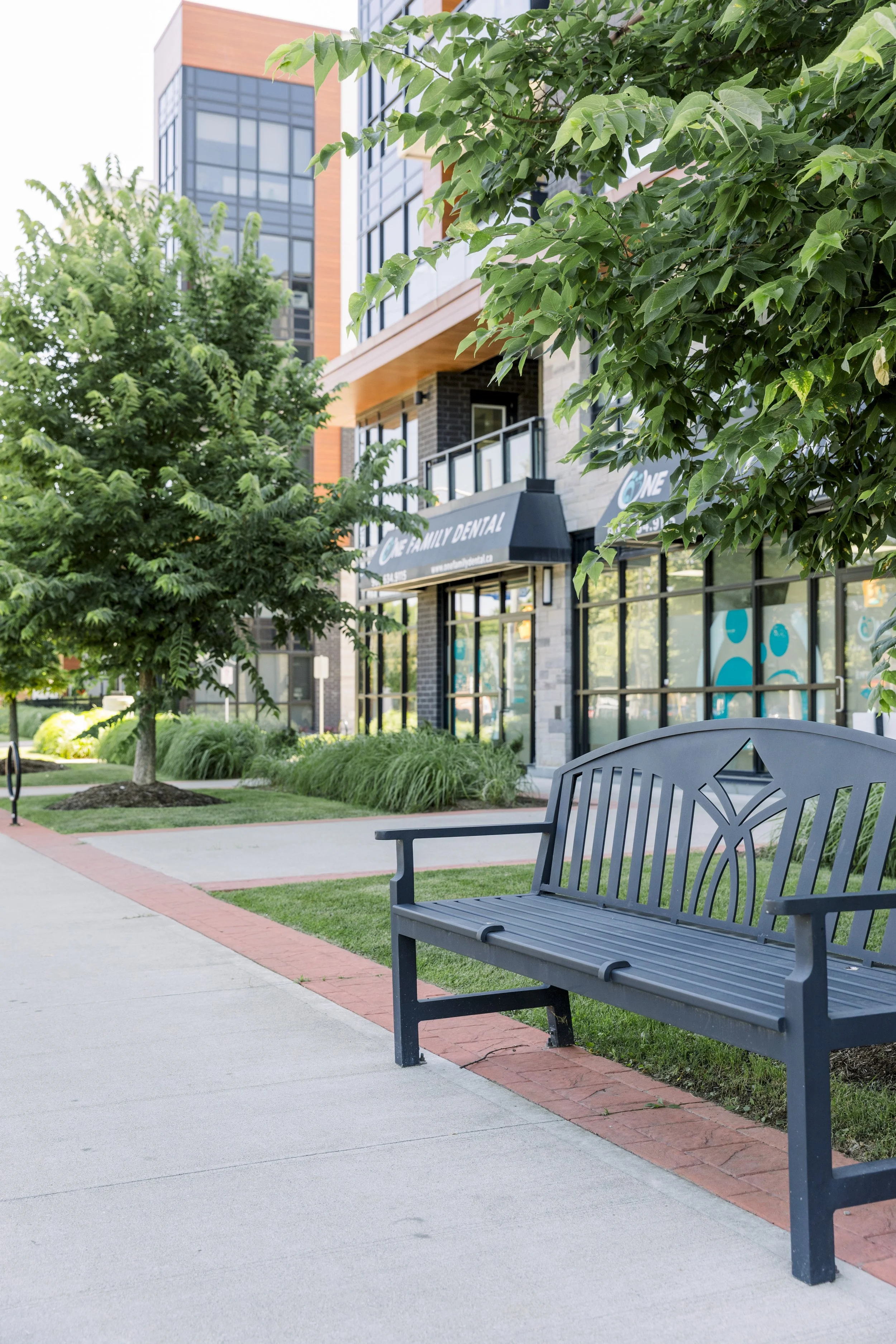 Empty outdoor park bench along a sidewalk with trees and a modern building with dental office signage in the background.