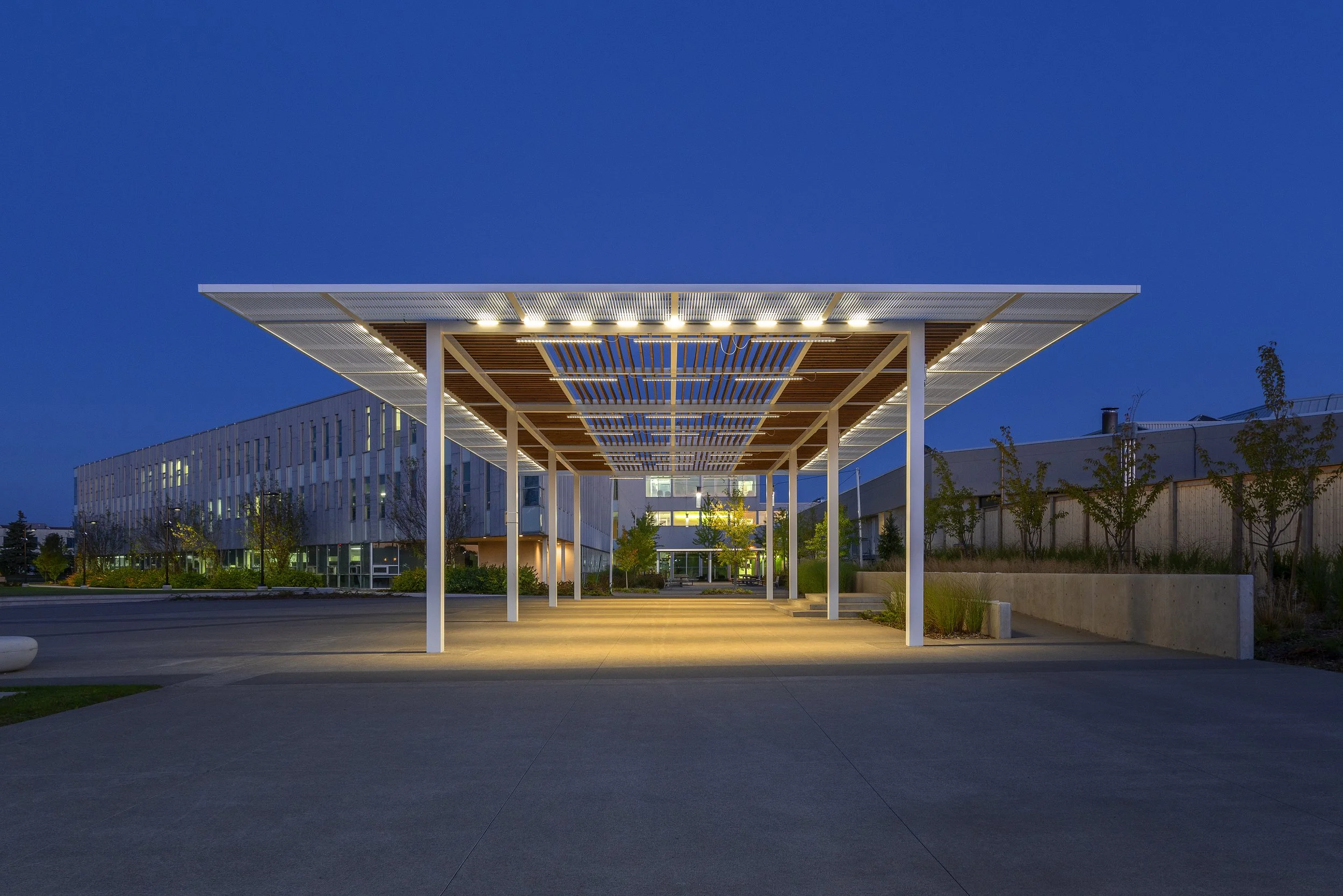 Modern building entrance with a large, flat roof supported by white columns, illuminated at dusk, with trees and landscaping around.
