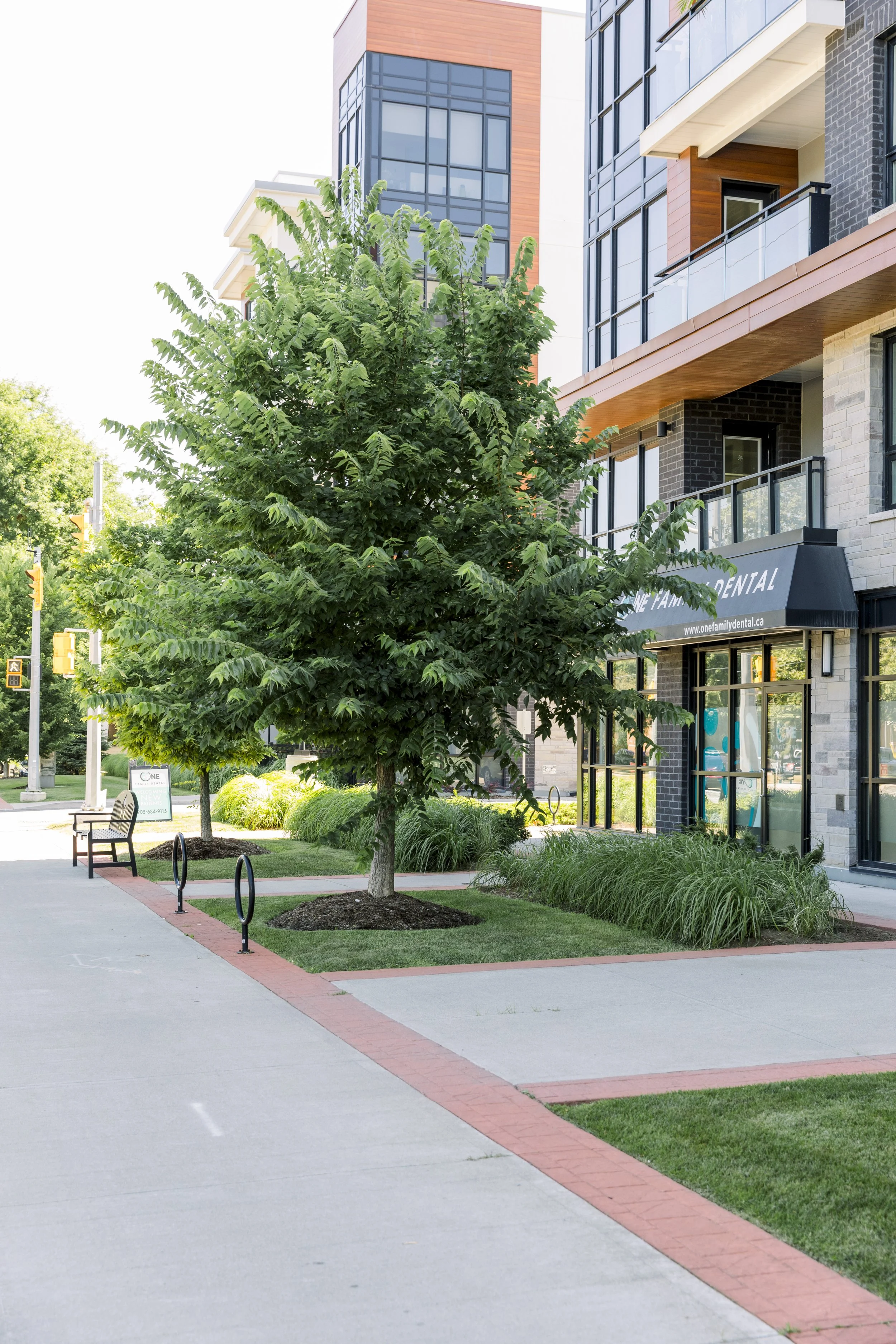 A sidewalk next to a modern building with glass windows, trees, and landscaped greenery.