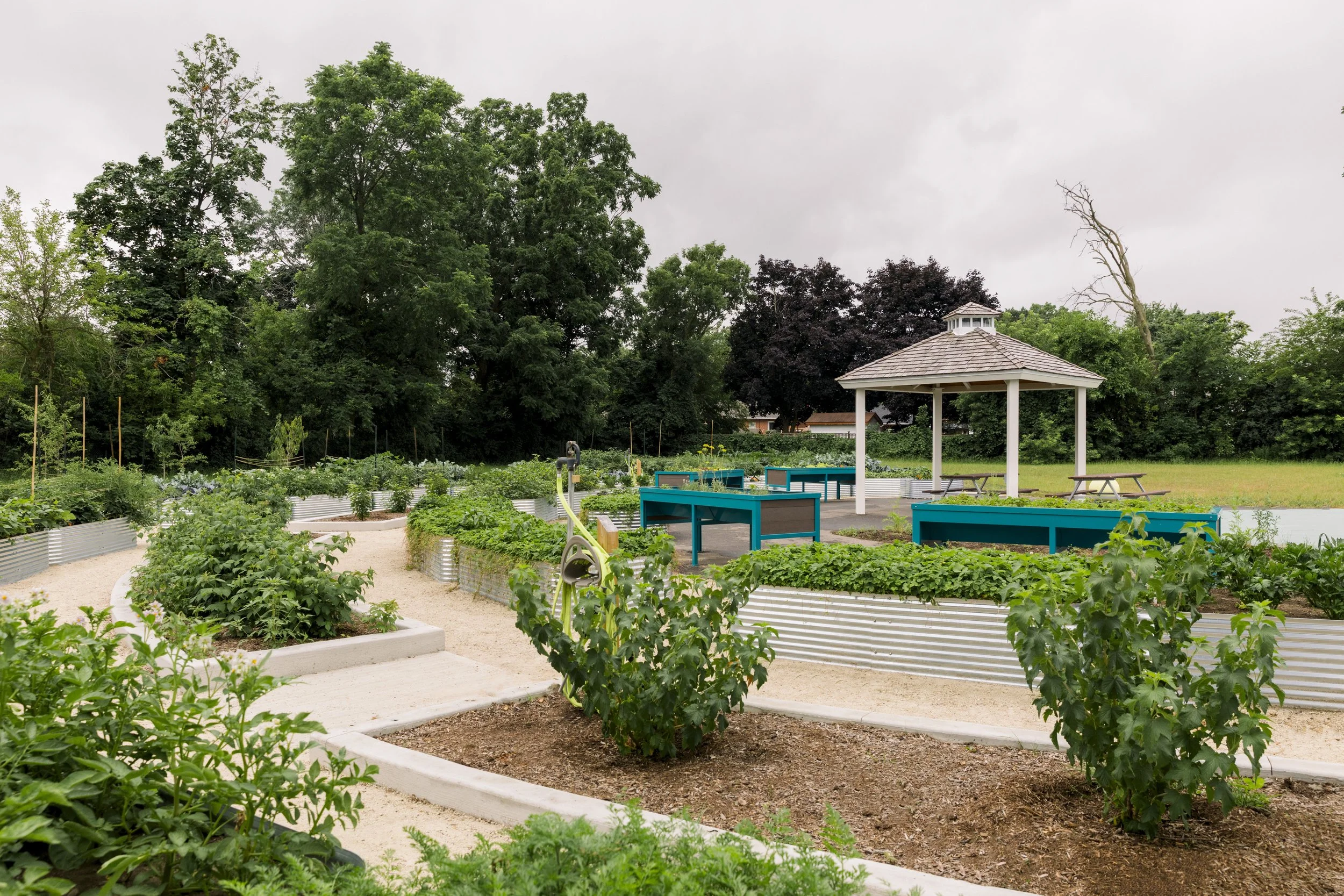 Community garden with raised beds, green plants, trees in the background, a gazebo, and picnic tables under overcast sky.