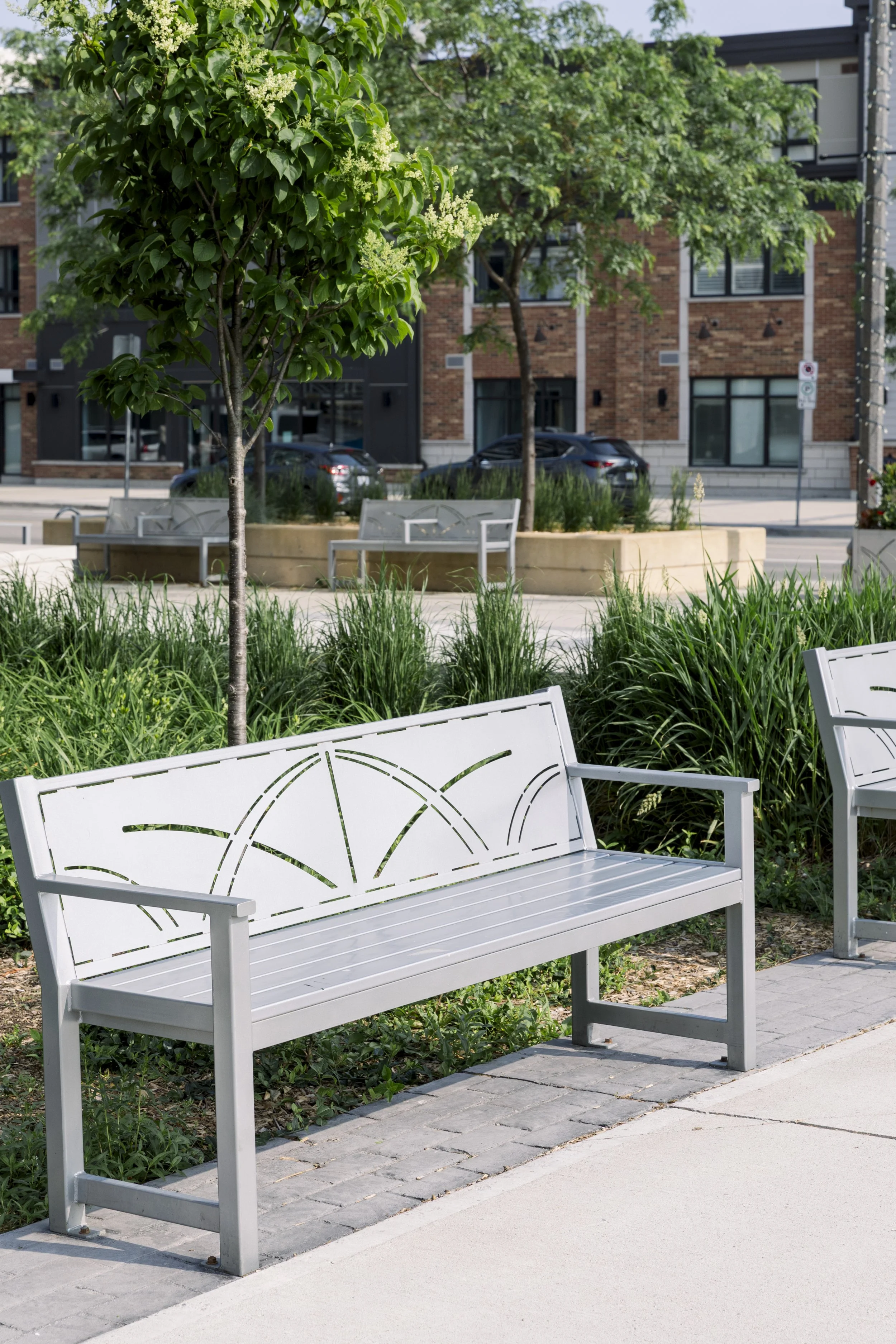 Urban park with white benches, green trees, grass, concrete pavement, residential and commercial buildings in the background.
