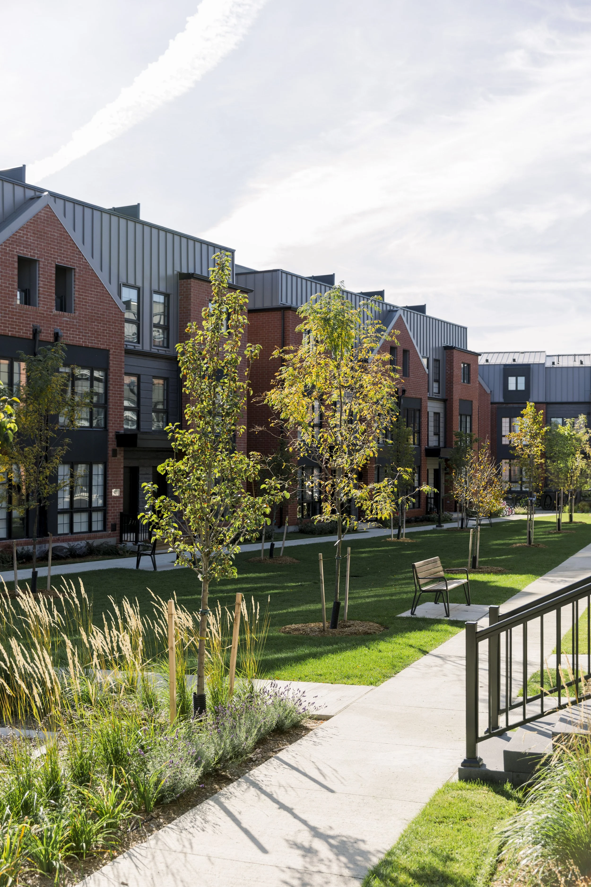 Modern residential apartment complex with landscaped green lawn, young trees, benches, and a paved walkway.