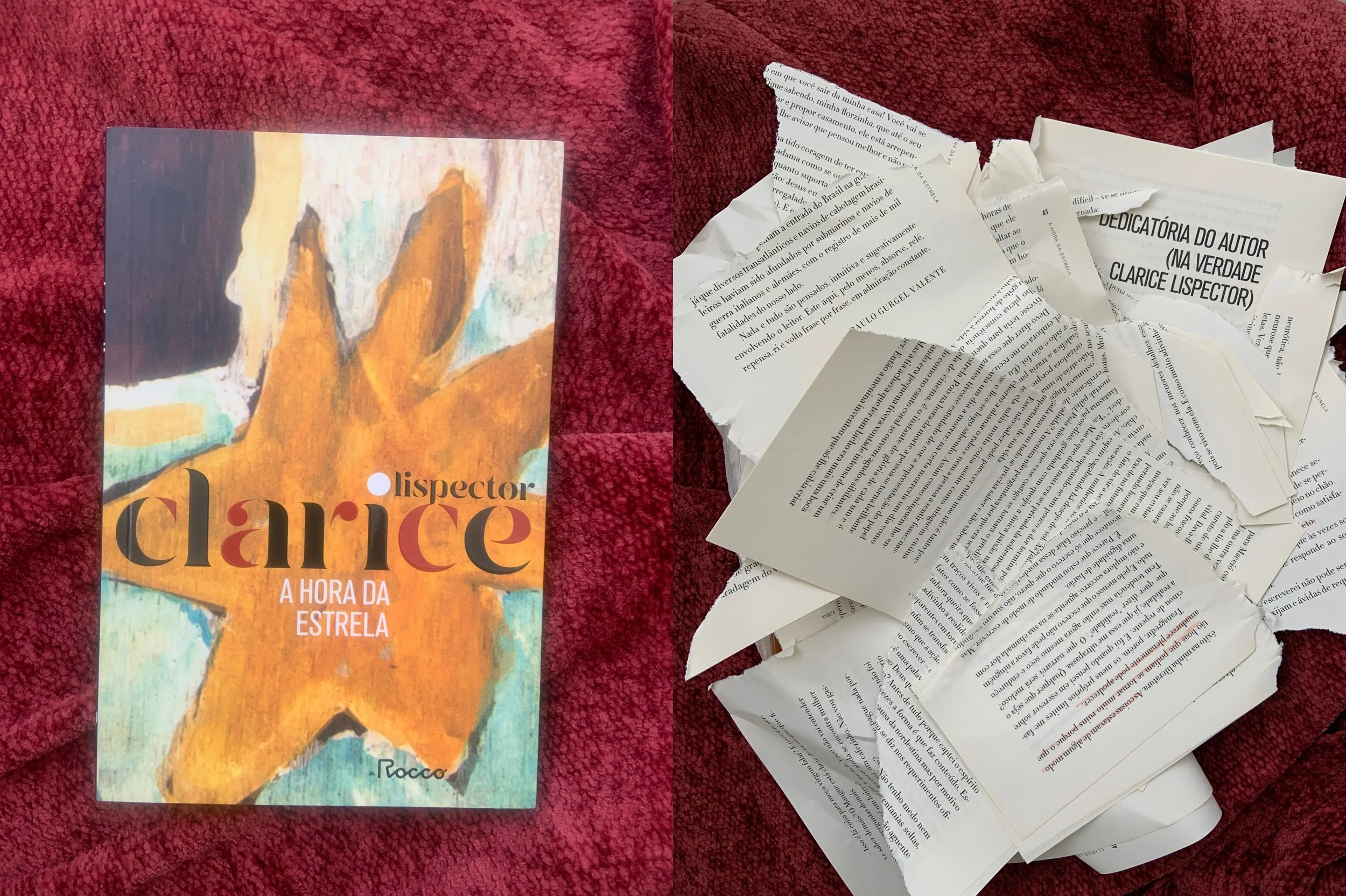 Sometimes, the Best Thing to Do Is Destroy the Book