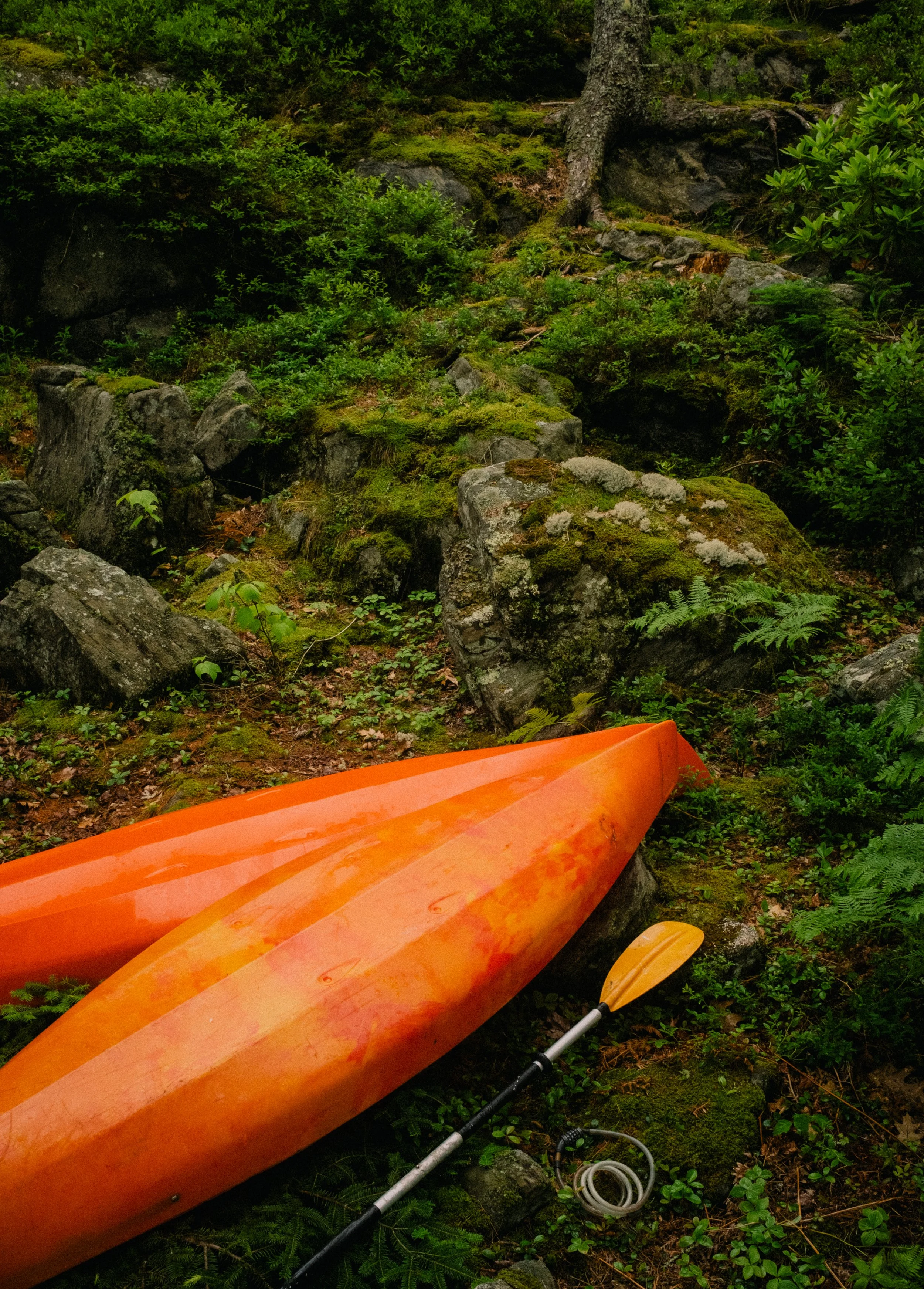 Maine. An orange kayak with a yellow paddle resting on the ground amidst lush green moss, rocks, and dense foliage in a forest setting. Virginia Travel Photographer. 
