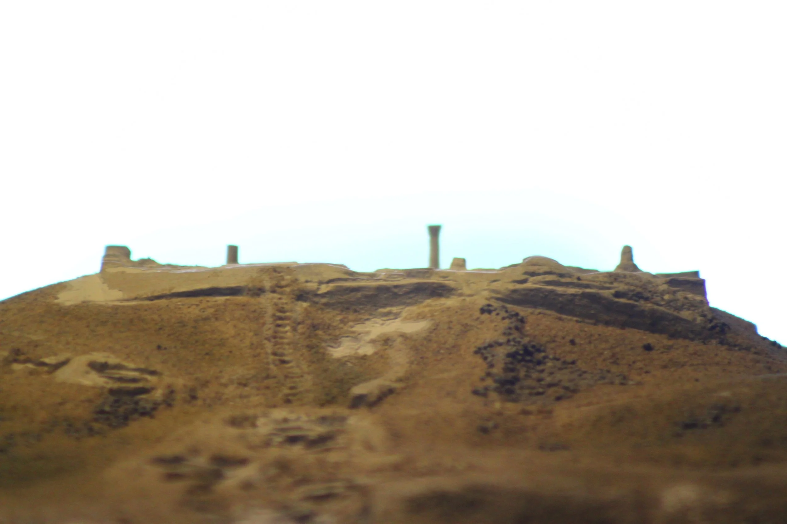 193.JPG