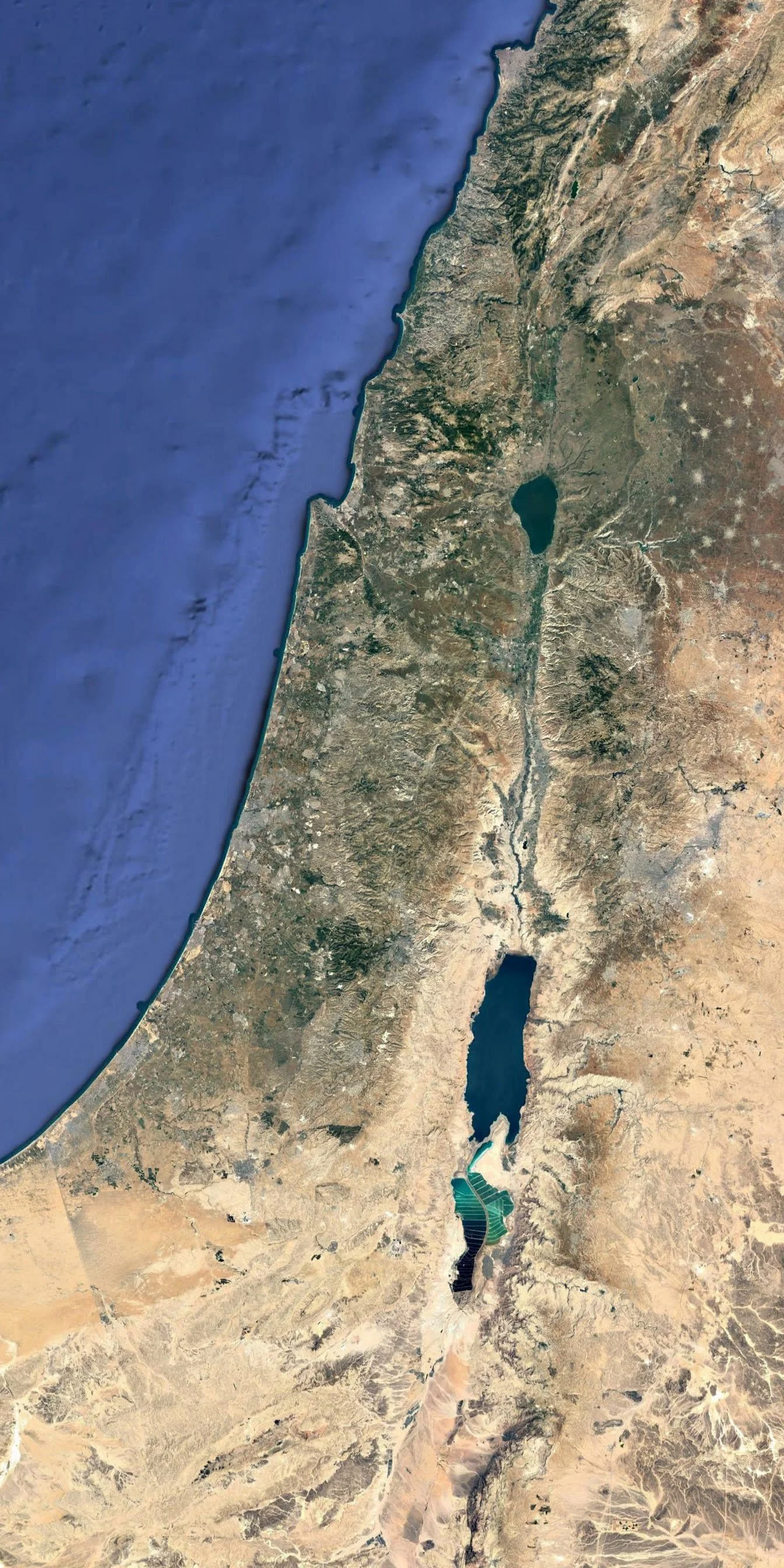palestine map1.jpg