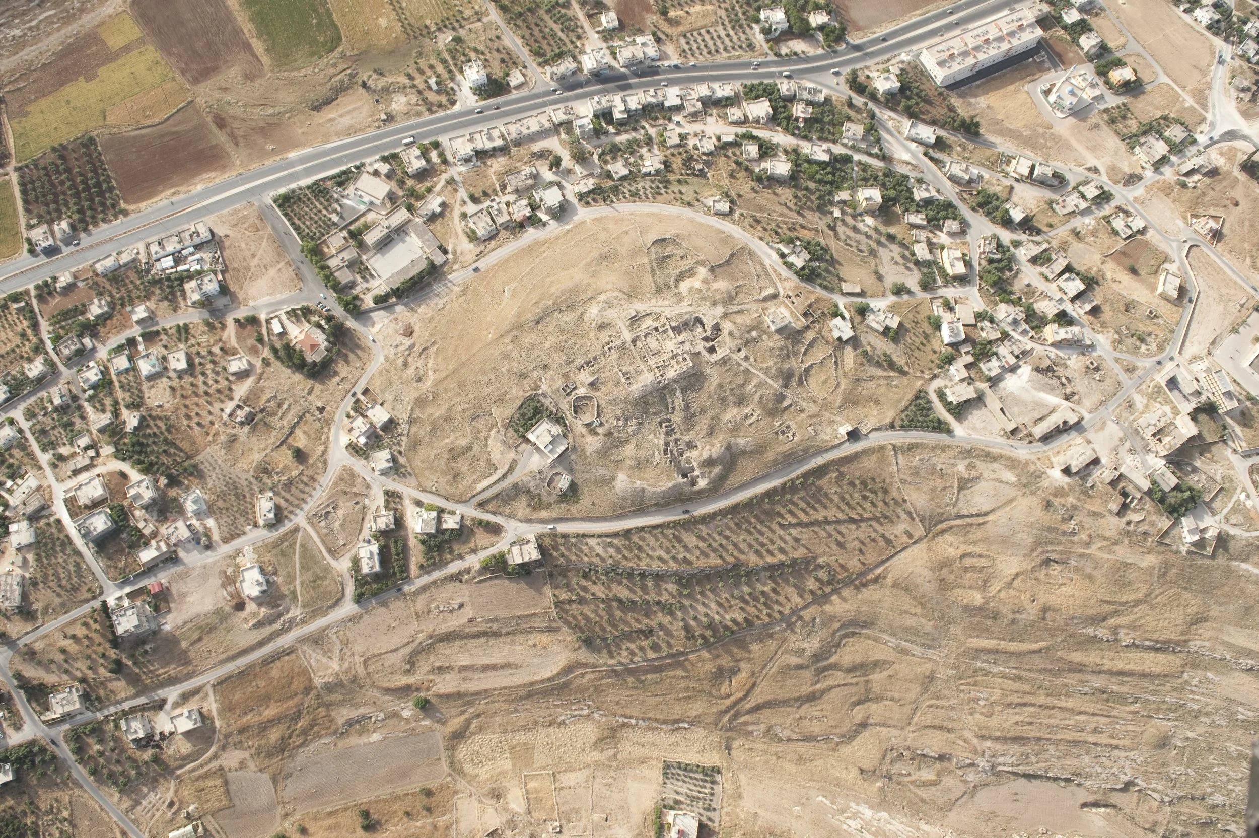 APAAME_20100516_DLK-0210.jpg