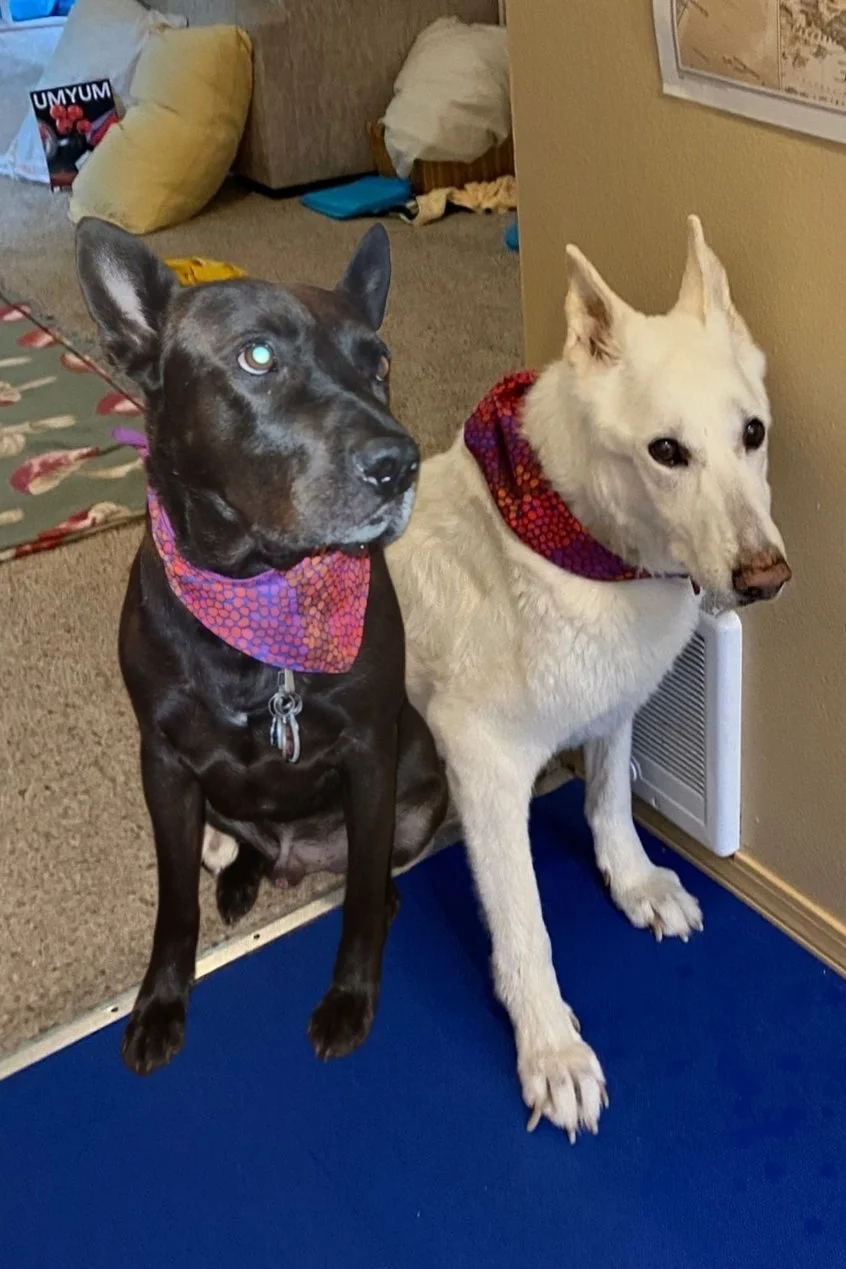 Carter and Avi wearing their Besties Bandana