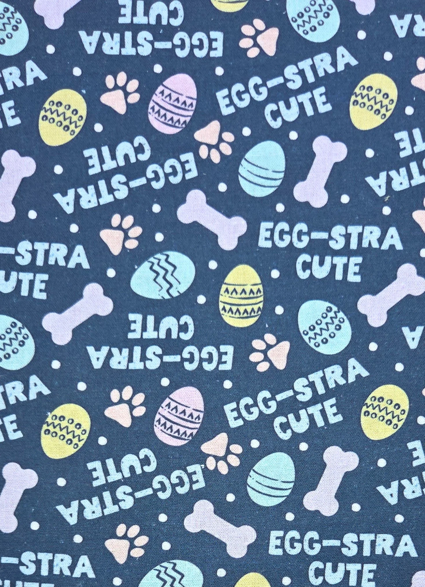 Egg-stra Dog at Brunch