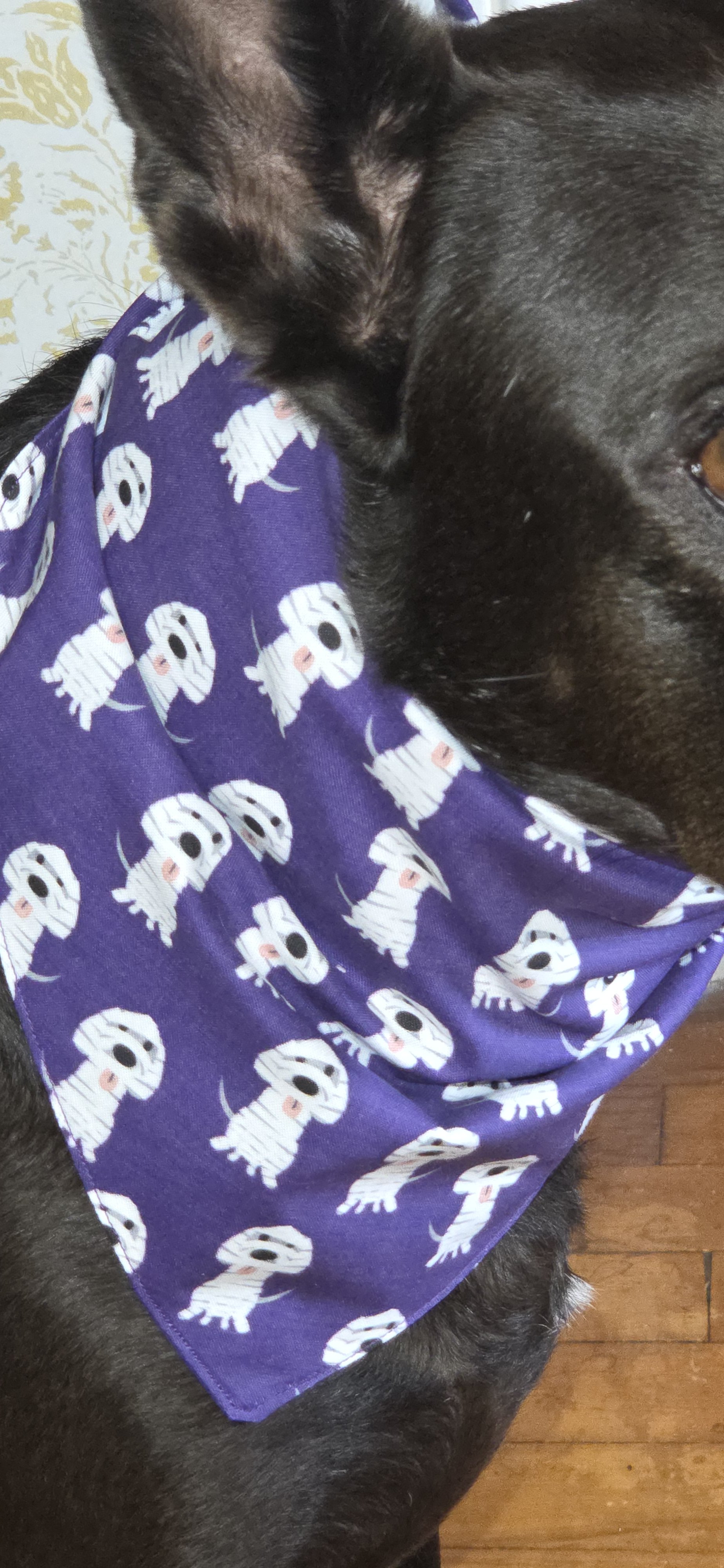 20261005_195122.jpg