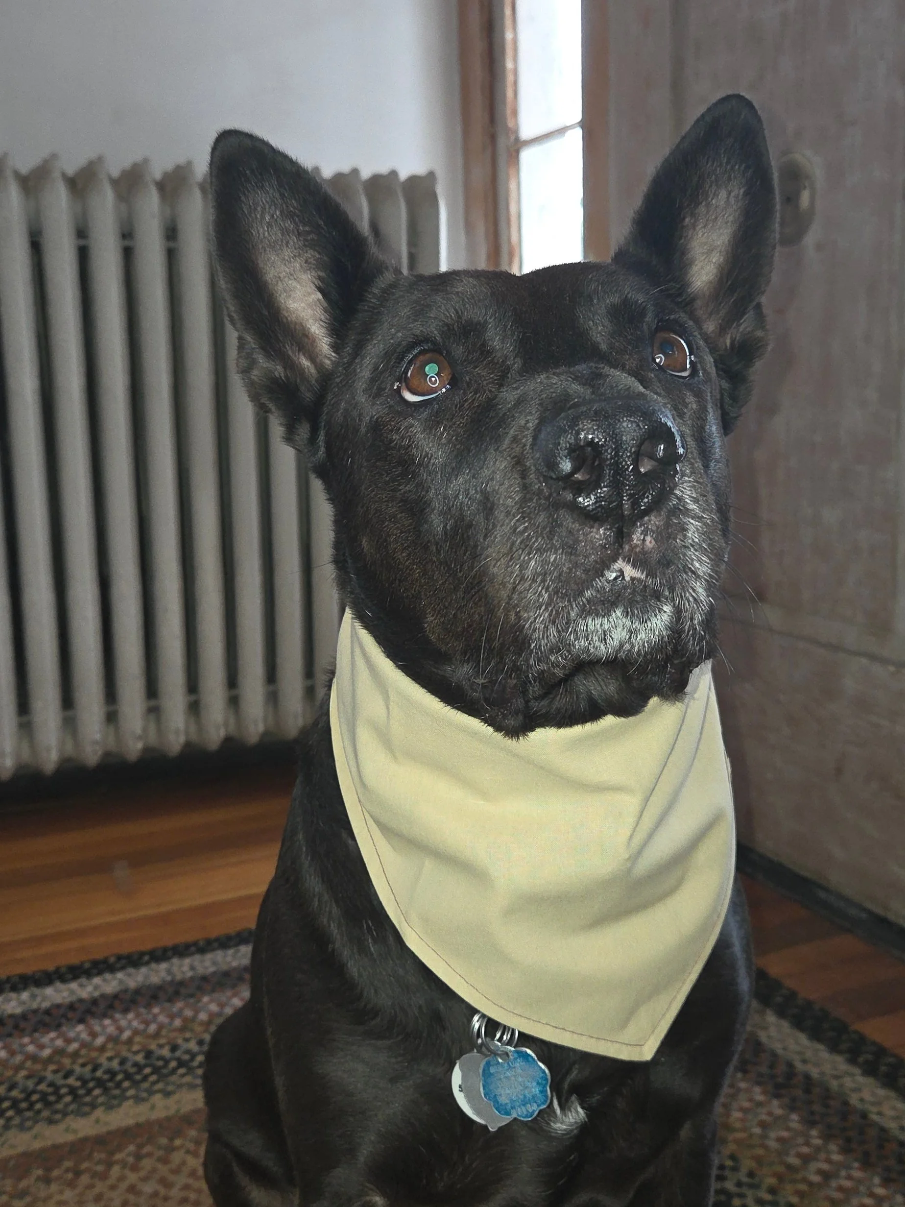 Picsart_26-02-27_06-51-44-145 (1).jpg