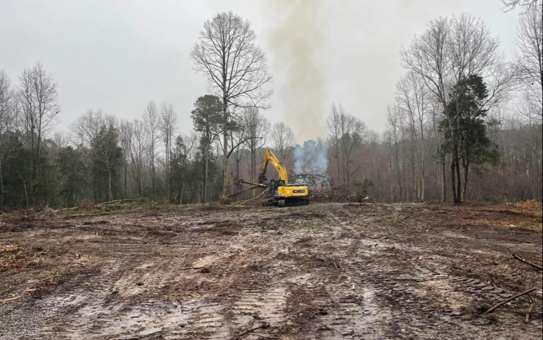 A yellow excavator operating in a deforested area, cutting and clearing trees with smoke rising from the background, set against a backdrop of leafless trees and a gray sky.
