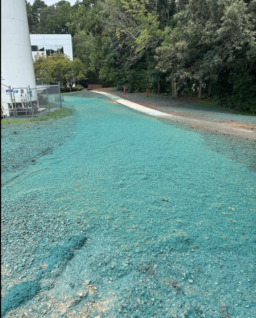 A gravel pathway with a light blue coloring, leading past a modern white building on the left, surrounded by trees and greenery, with red fire hydrants along the edge of the path.
