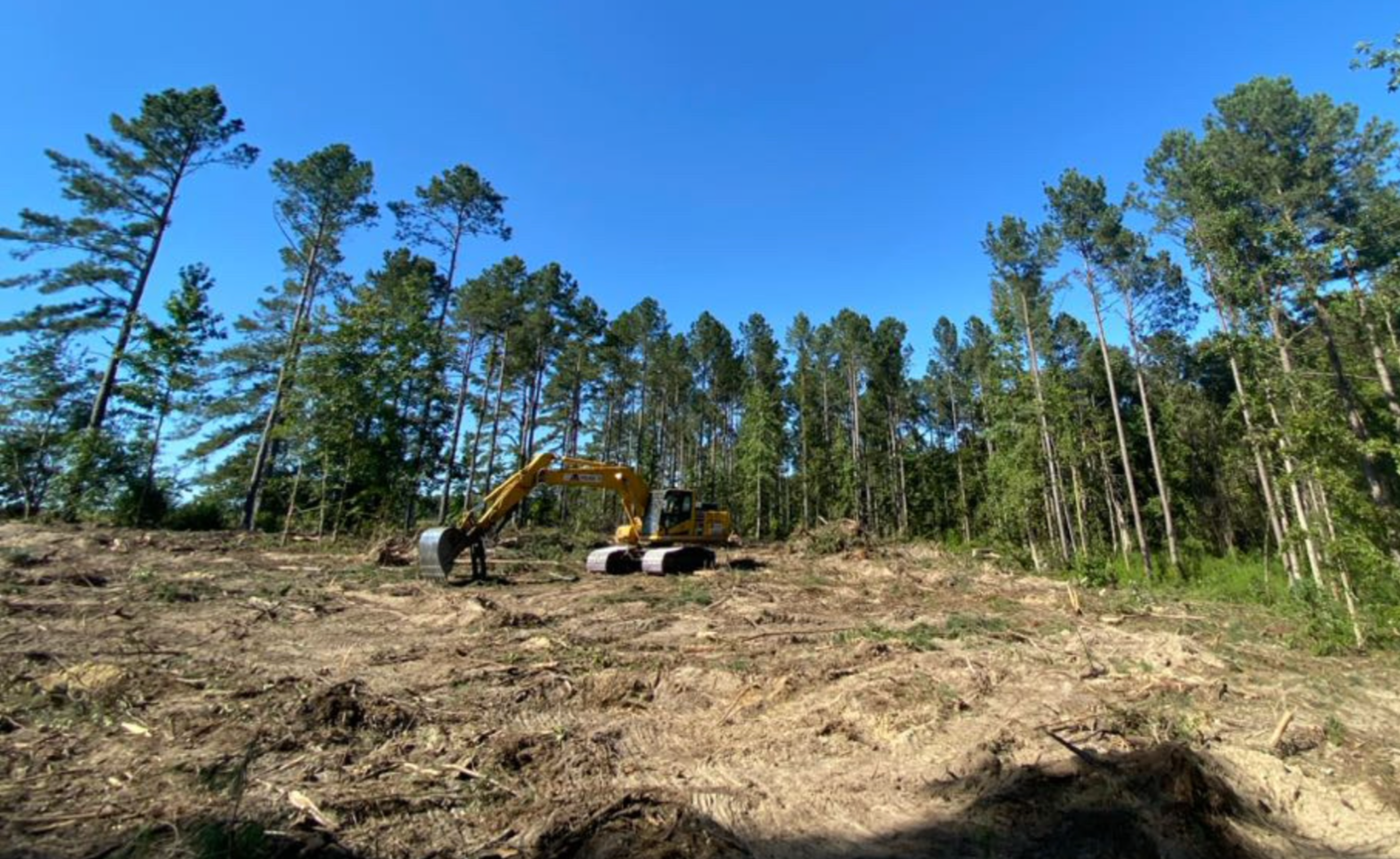 A yellow excavator working on a cleared area of land in a forest with tall trees surrounding it, under a clear blue sky.