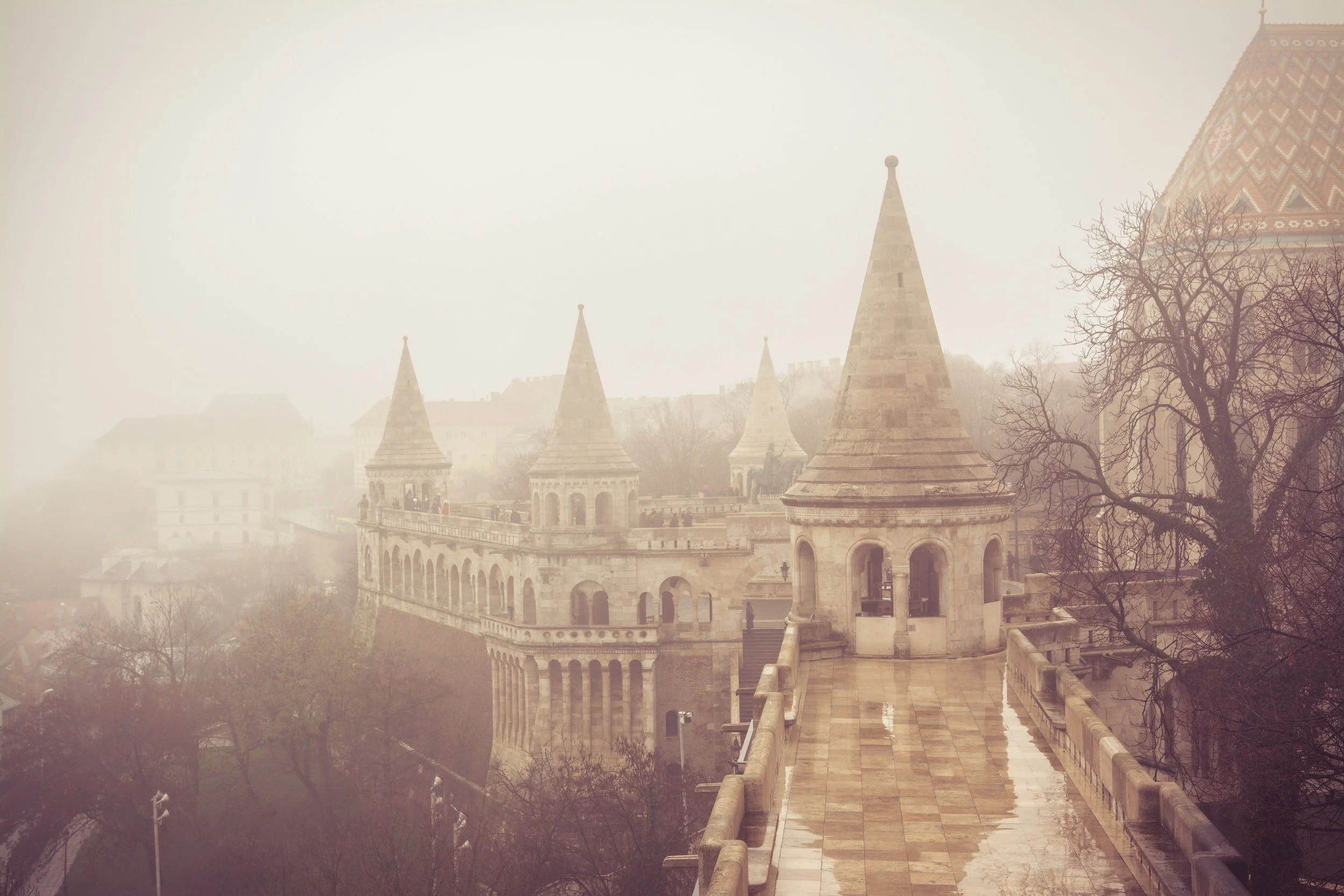 _DSC9303.jpeg