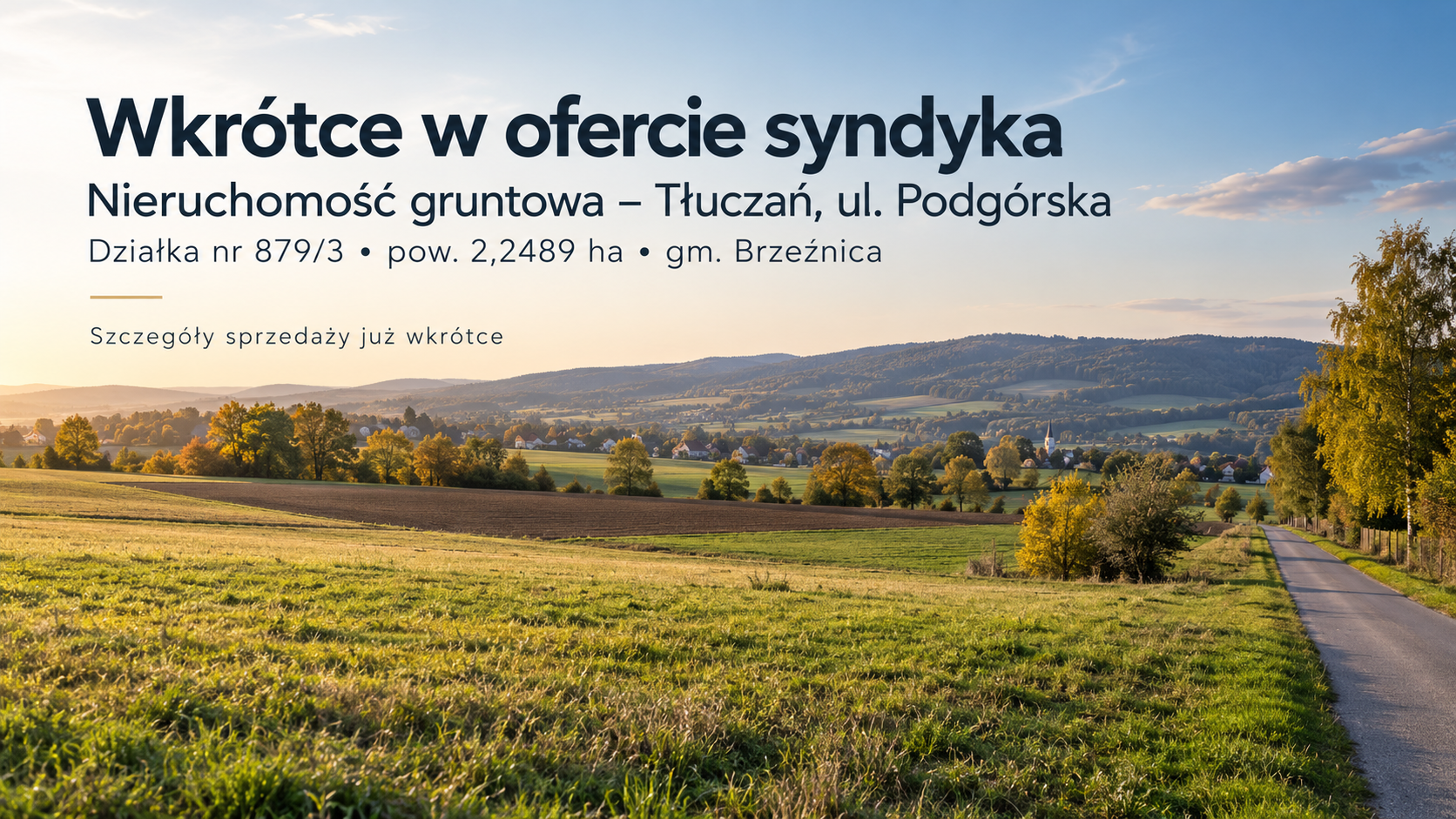 Grafika zapowiadająca sprzedaż przez syndyka udziału 5/6 w działce nr 879/3 w Tłuczaniu
