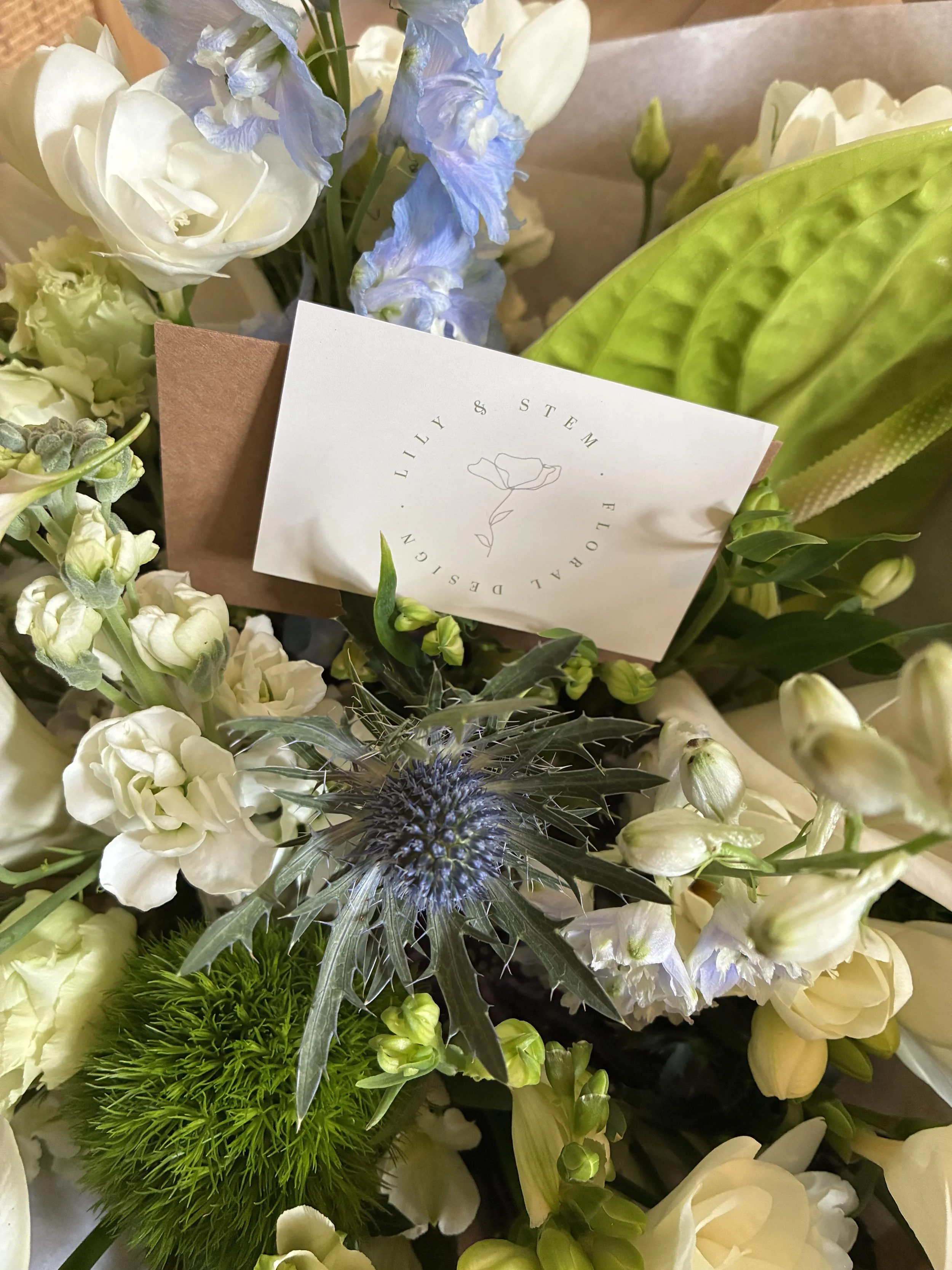 IMG_1416.jpeg (Copy)