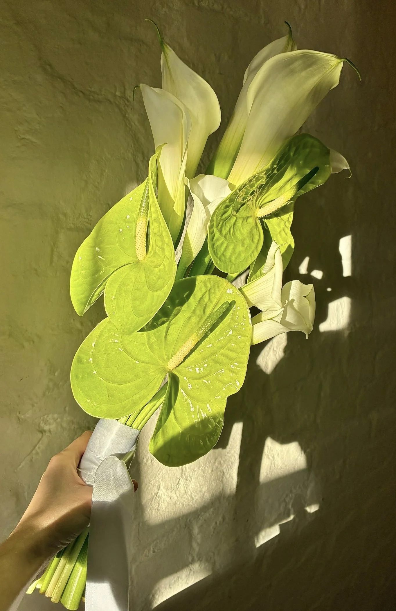 Bouquet of white calla lilies and green anthuriums held in a person's hand, with sunlight casting shadows on a beige wall.