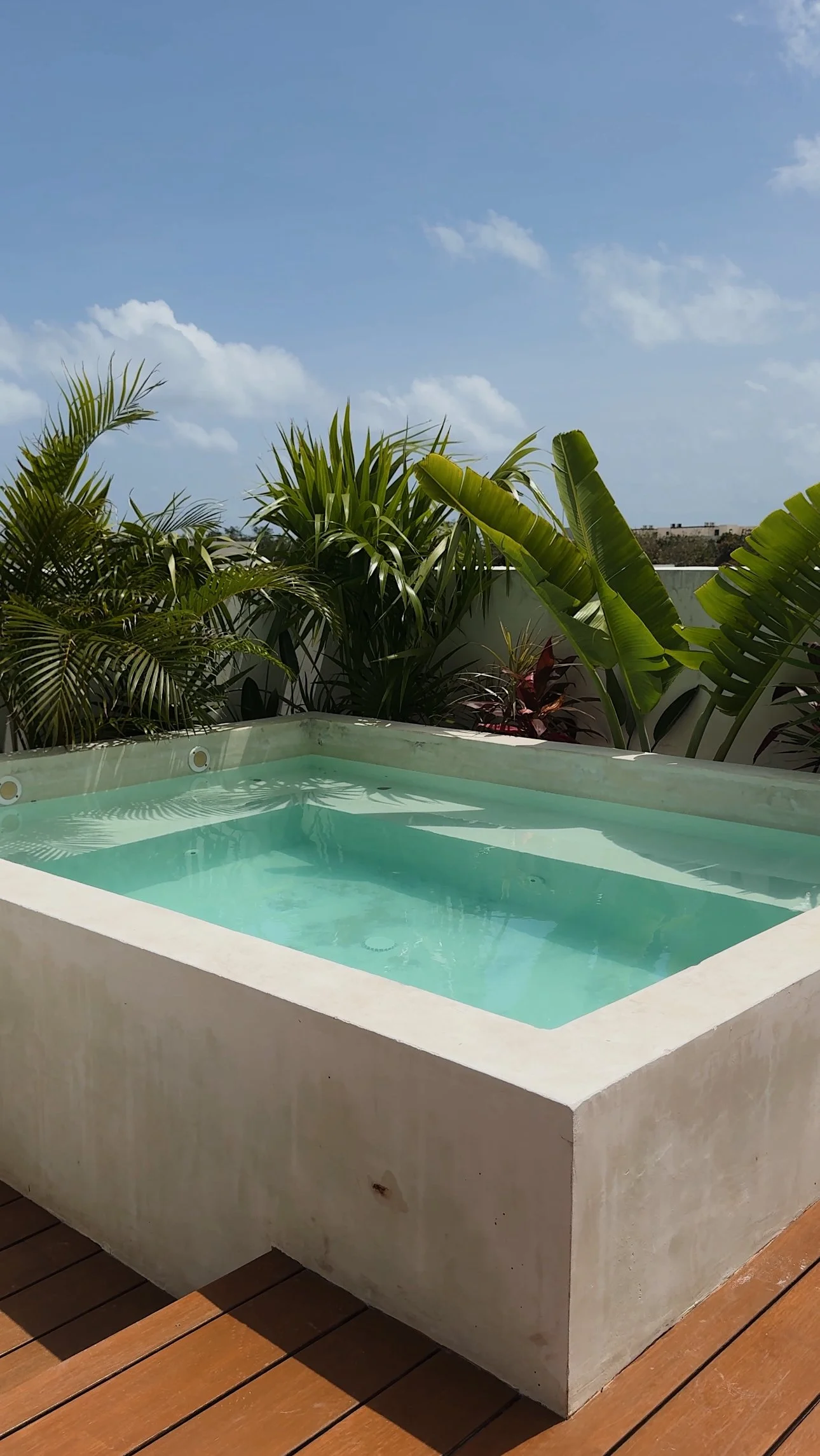 A rooftop hot tub surrounded by tropical plants and a blue sky with scattered clouds.