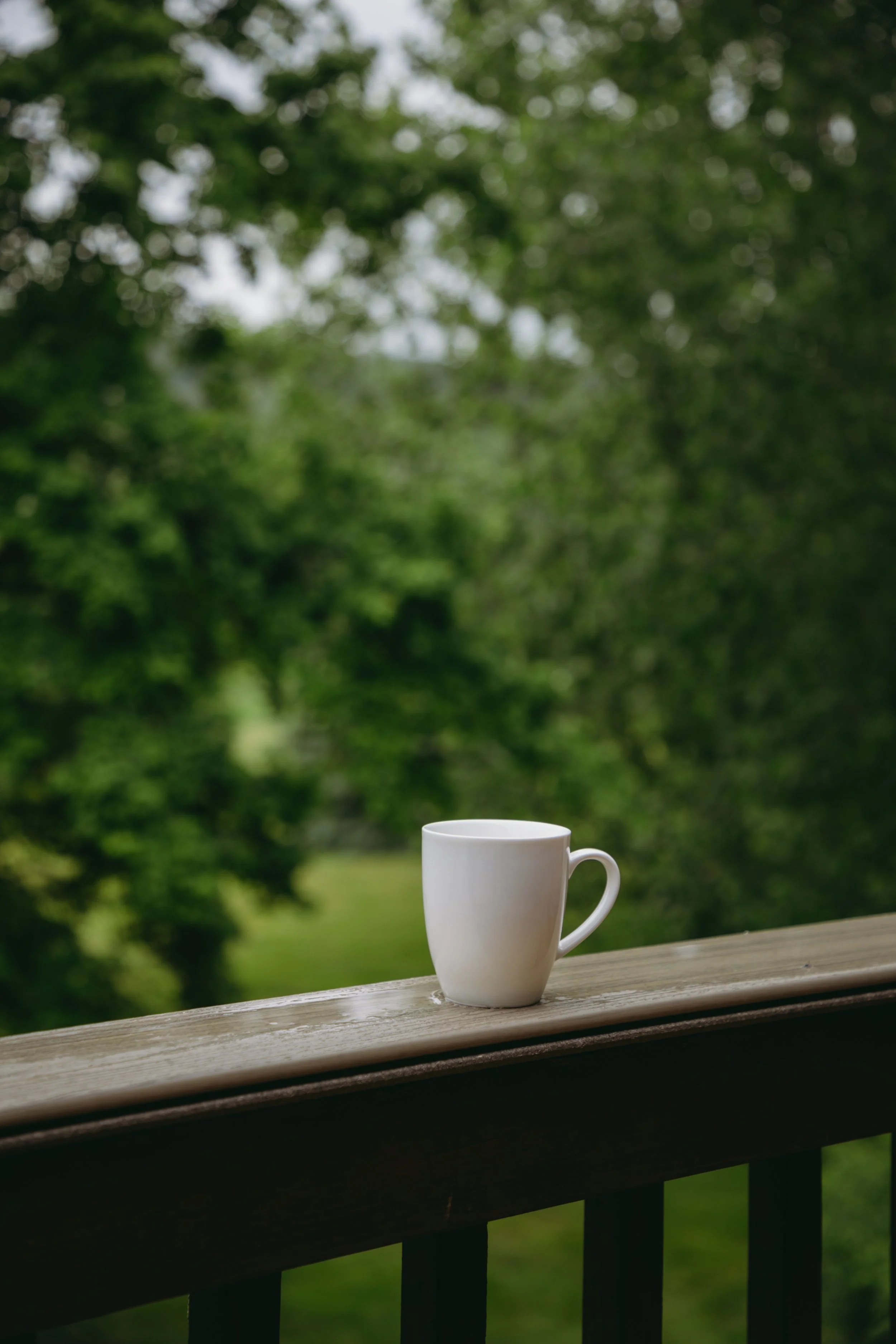 A white mug placed on a wooden railing outdoors with green trees in the background.