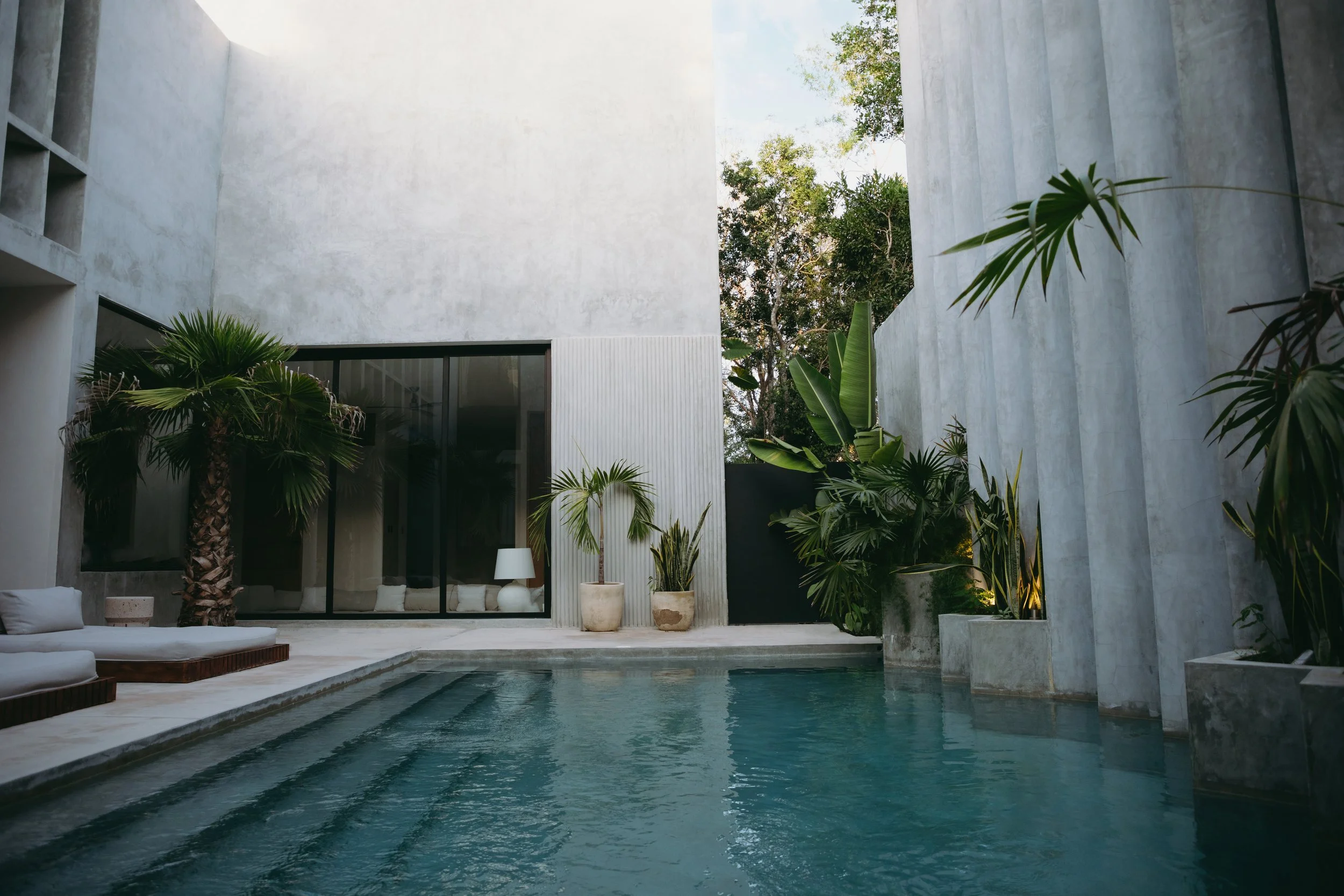 Modern outdoor pool area with surrounding plants and minimalist concrete walls