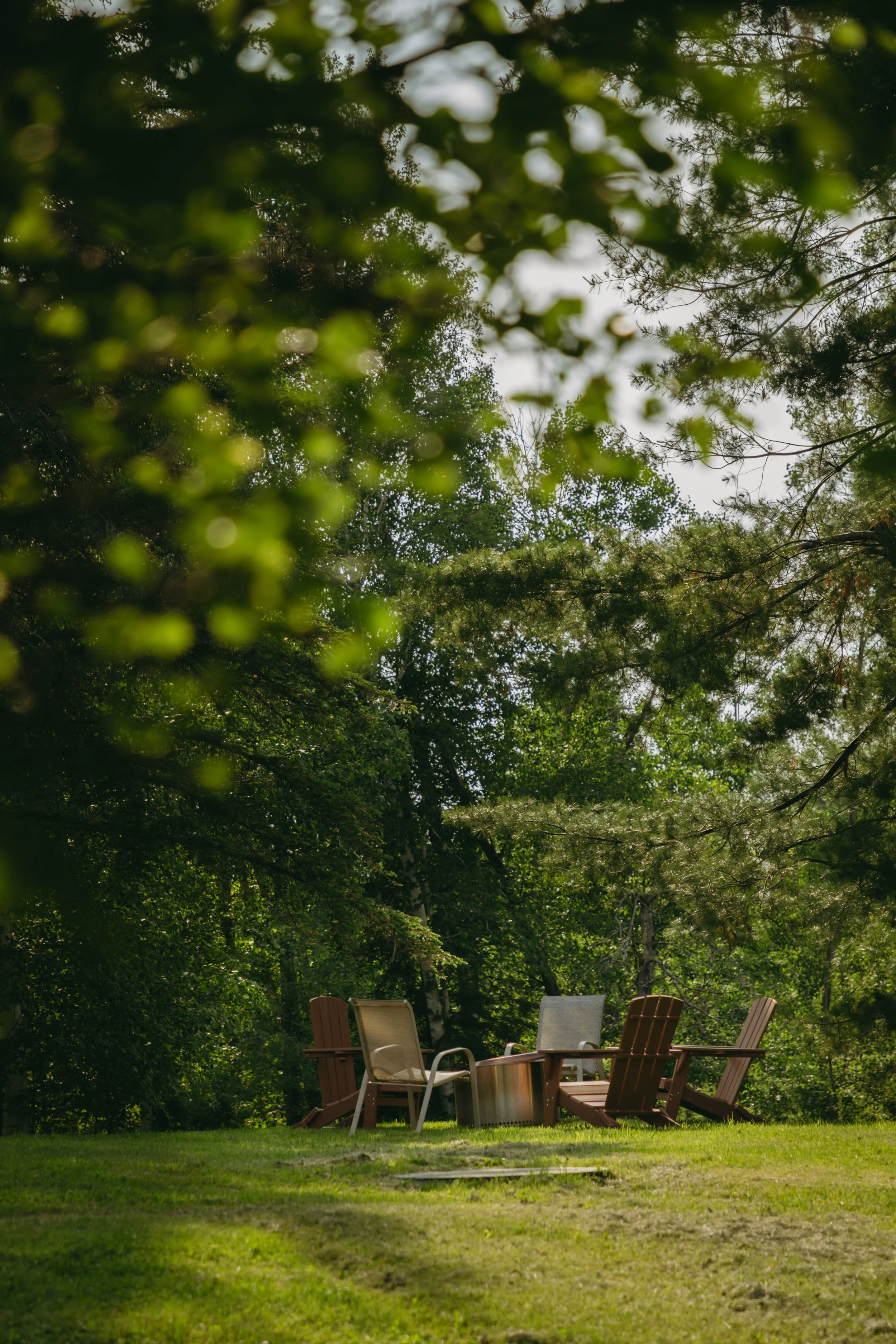 A group of Adirondack chairs and a side table arranged on a grassy area in a wooded setting, with trees and foliage surrounding and overhead.
