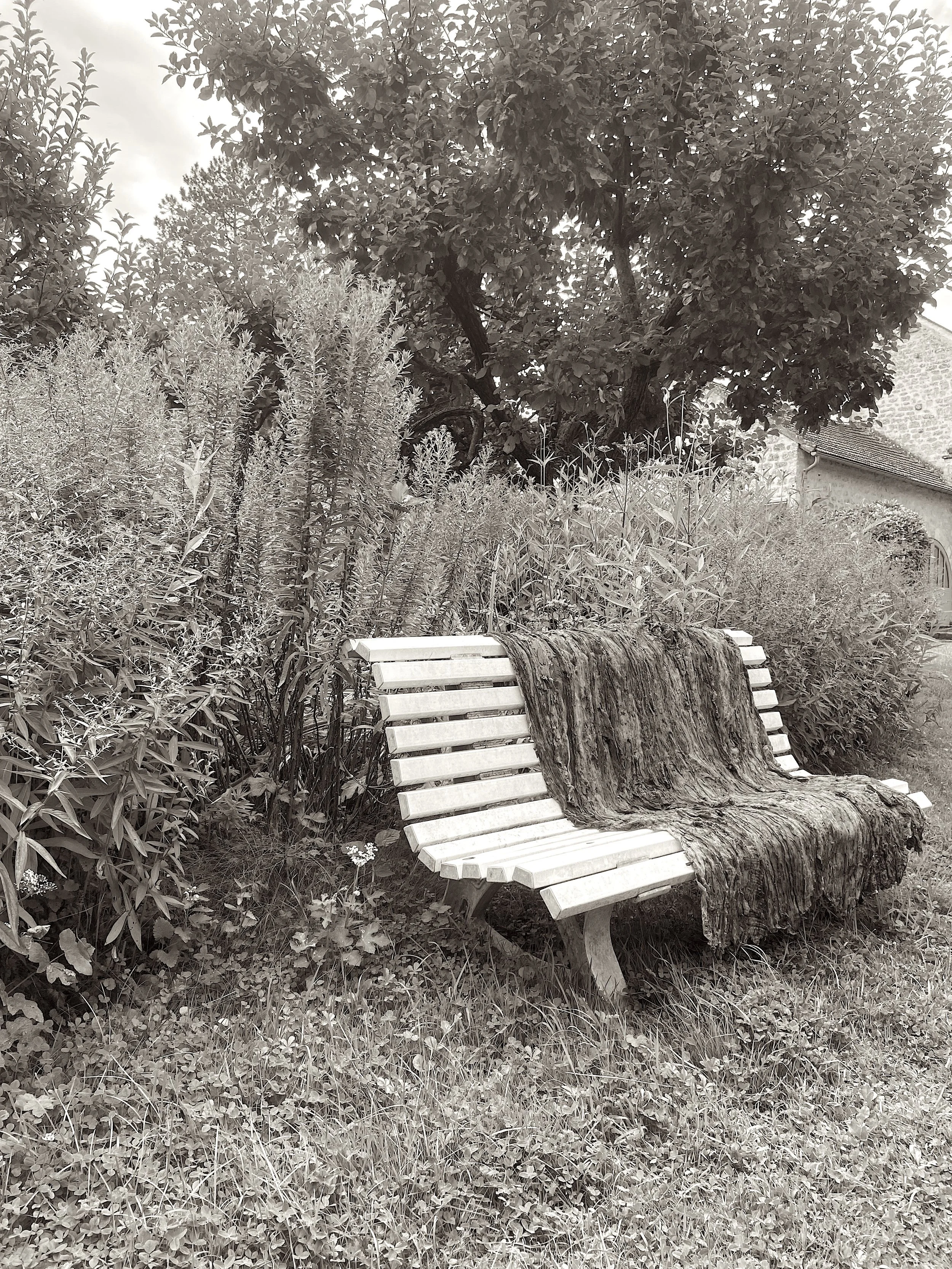 Banc en bois peint blanc avec une branche de bois ou un tronc d'arbre posé dessus dans un jardin, entouré de plantes et d'arbres.