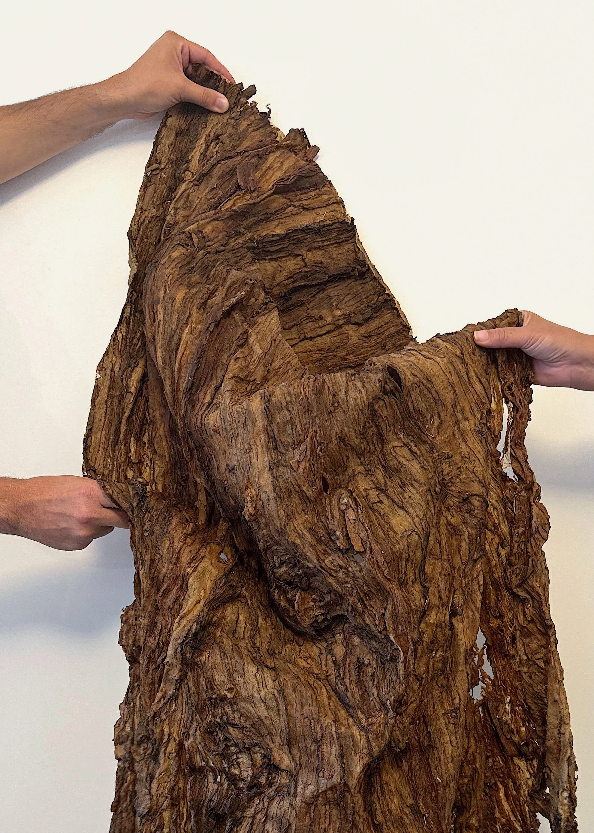 Trois mains tiennent une grande pièce de bois sculptée avec des détails complexes et des textures rugueuses.