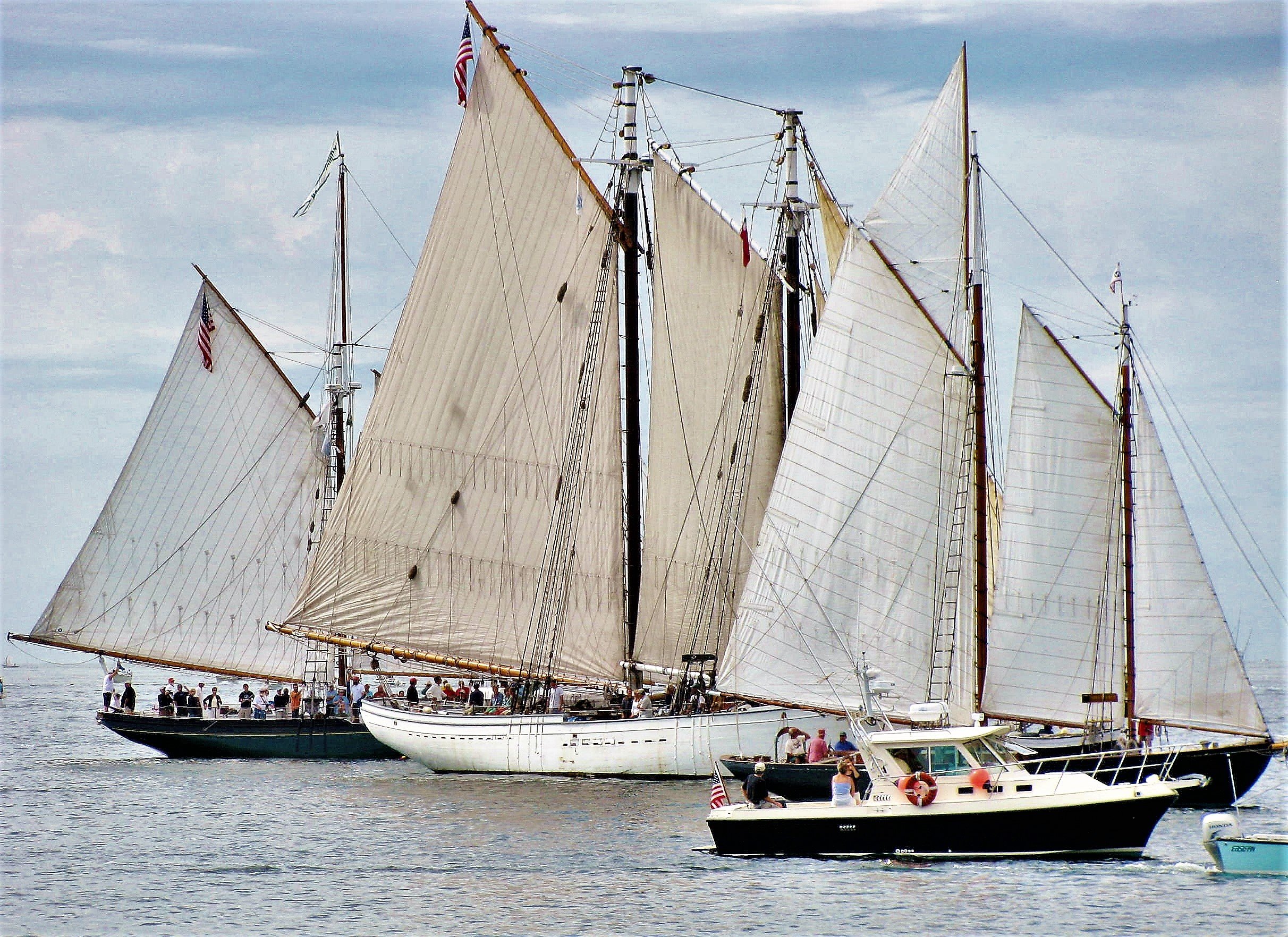 Setting Sail with Your Seafaring Ancestors - Denise E. Cross