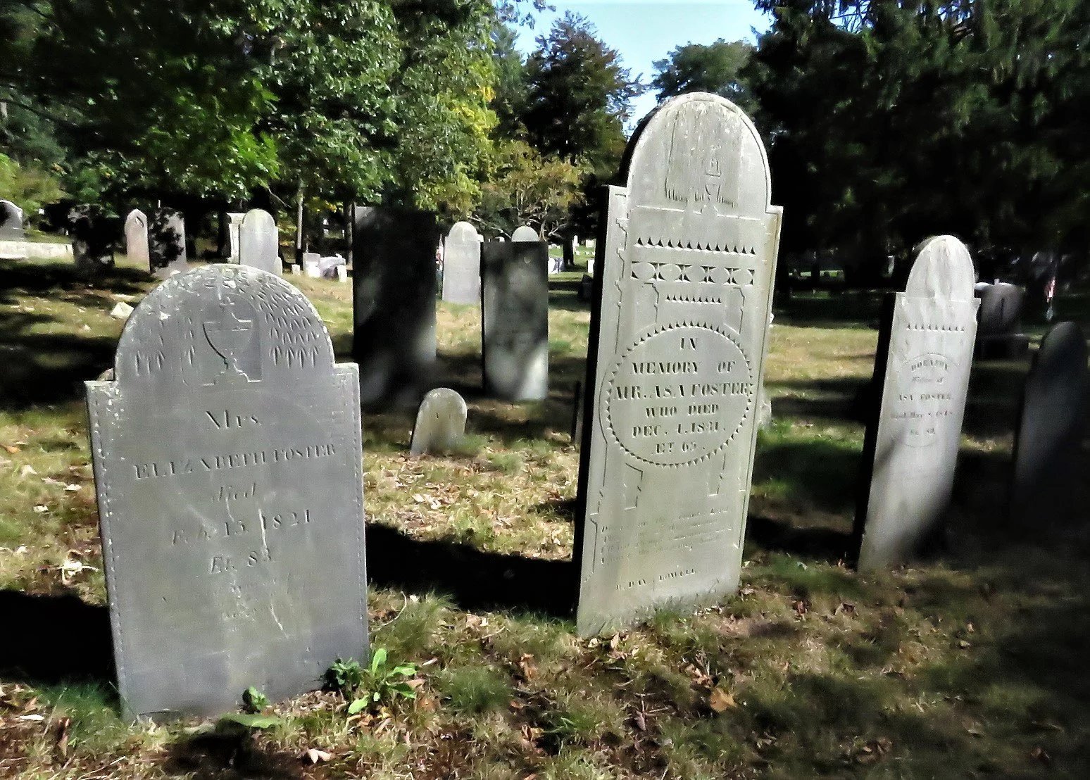 Turn Family History Facts into Stories You Can Share - Annette Burke Lyttle