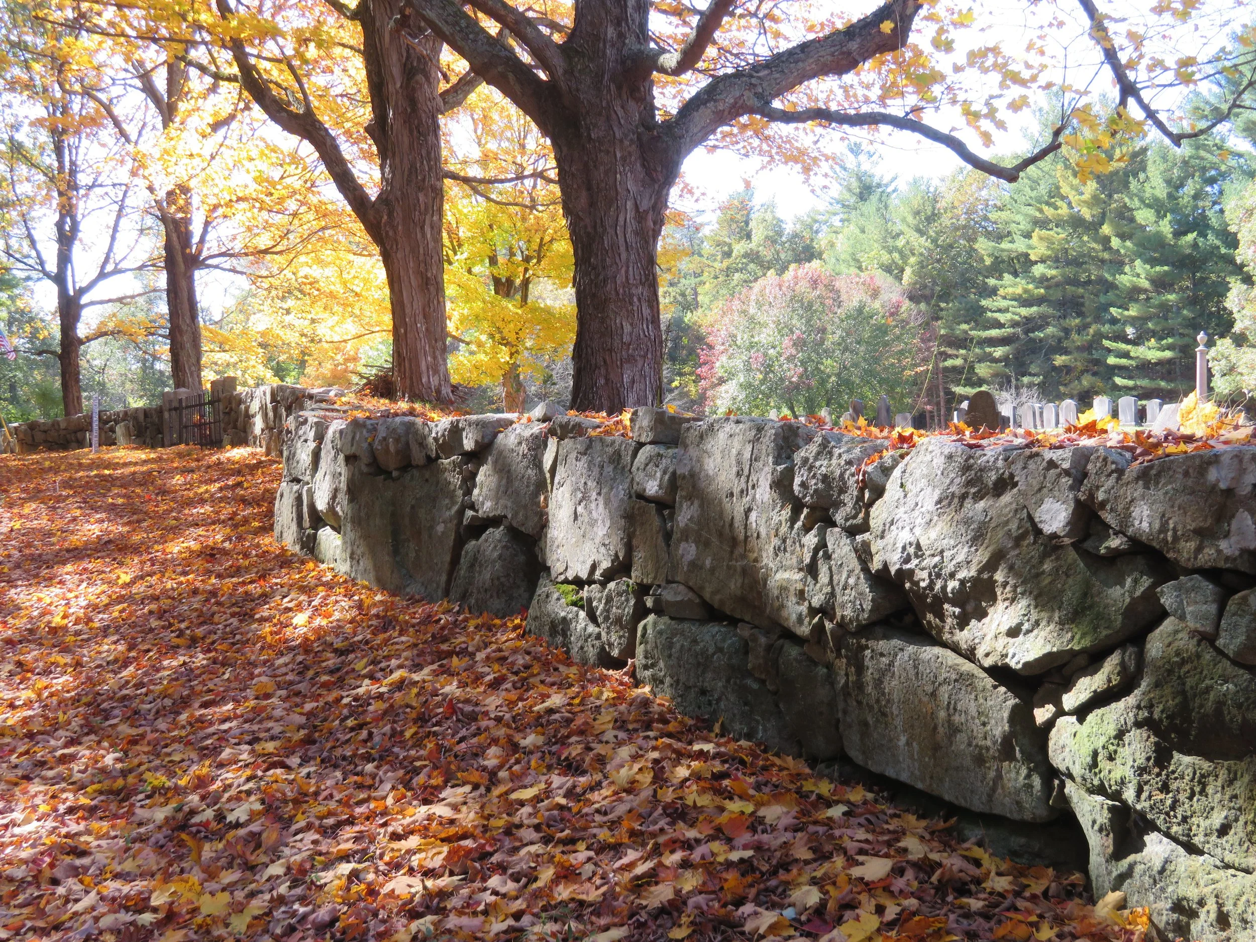 The Top Six Genealogy Resources You Should Revisit…NOW! - Linda B. MacIver