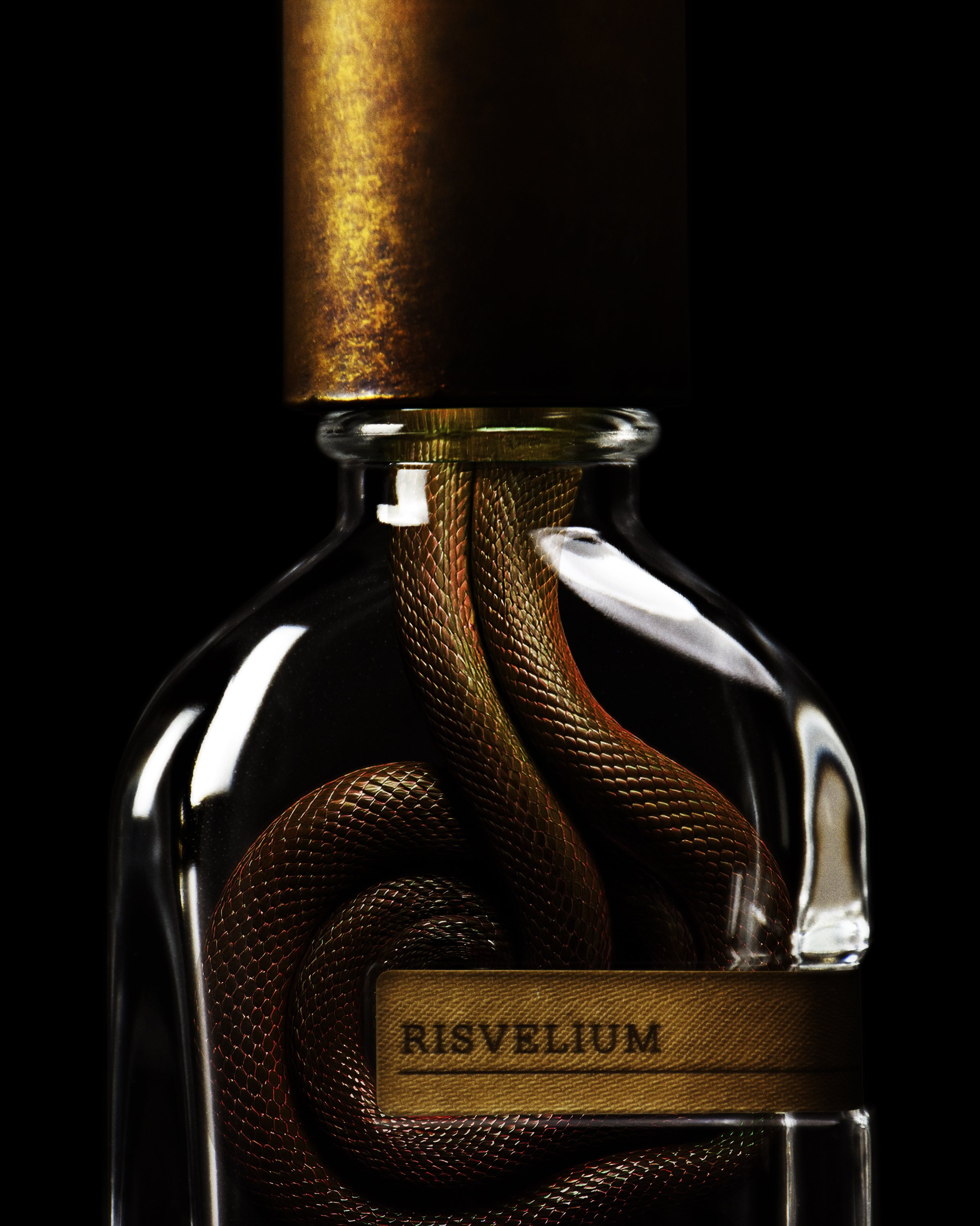 Orto Parisi-Content-Eye of the Awakening-Risvelium-1.jpg