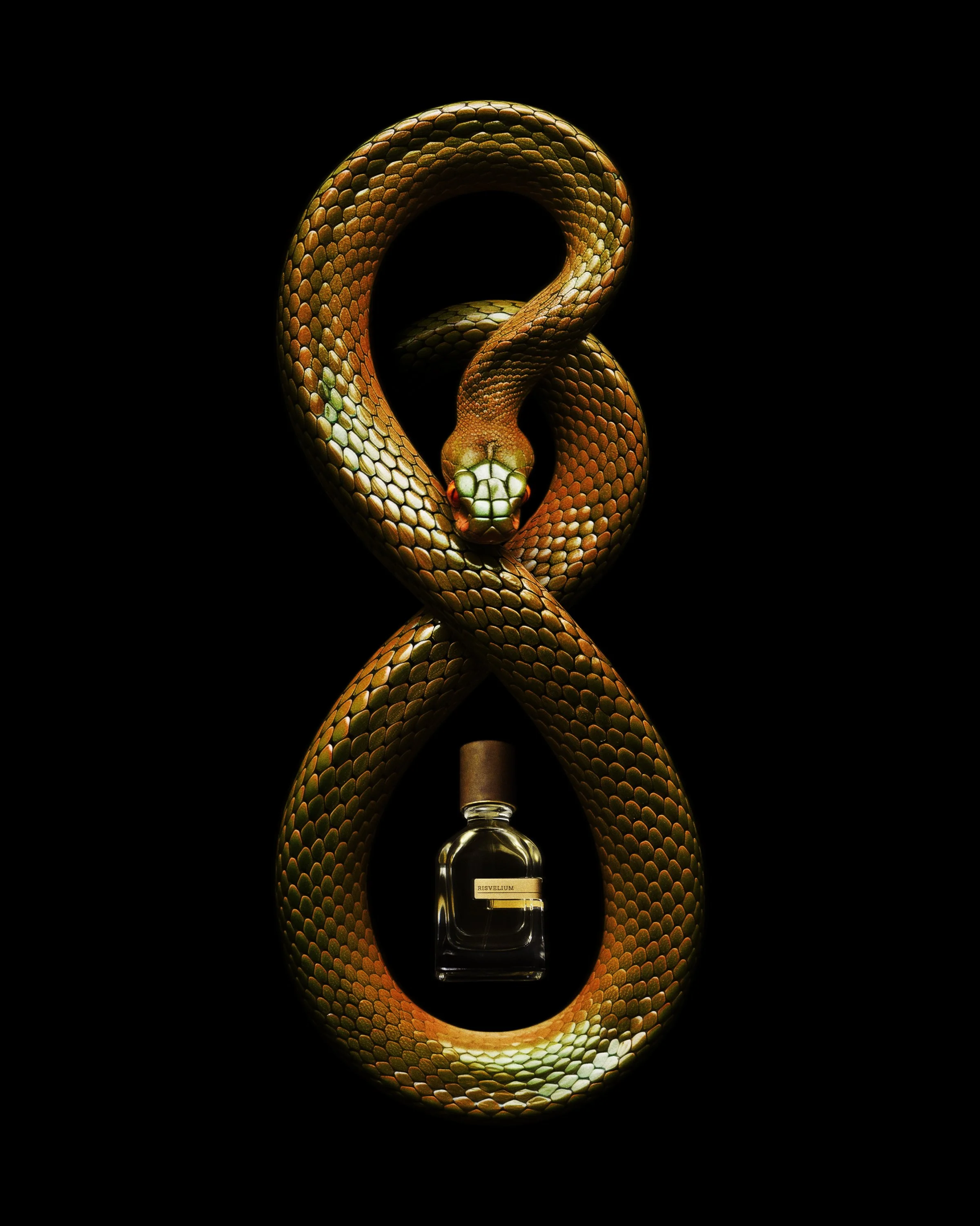 Orto Parisi-Content-Eye of the Awakening-Risvelium-2.jpg